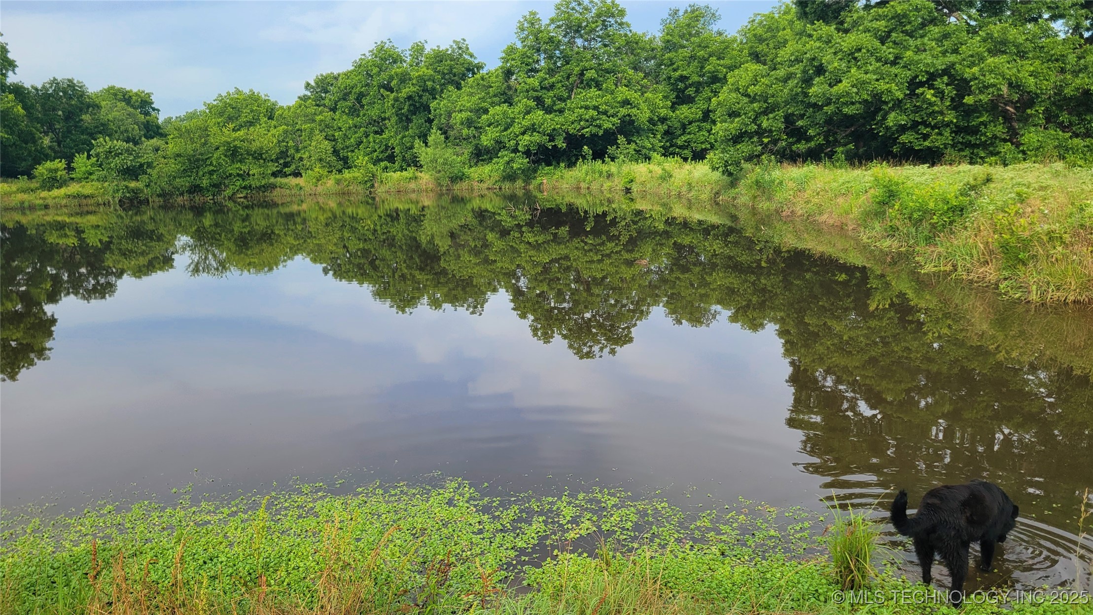 9725 County Road 3470 Property Photo 63