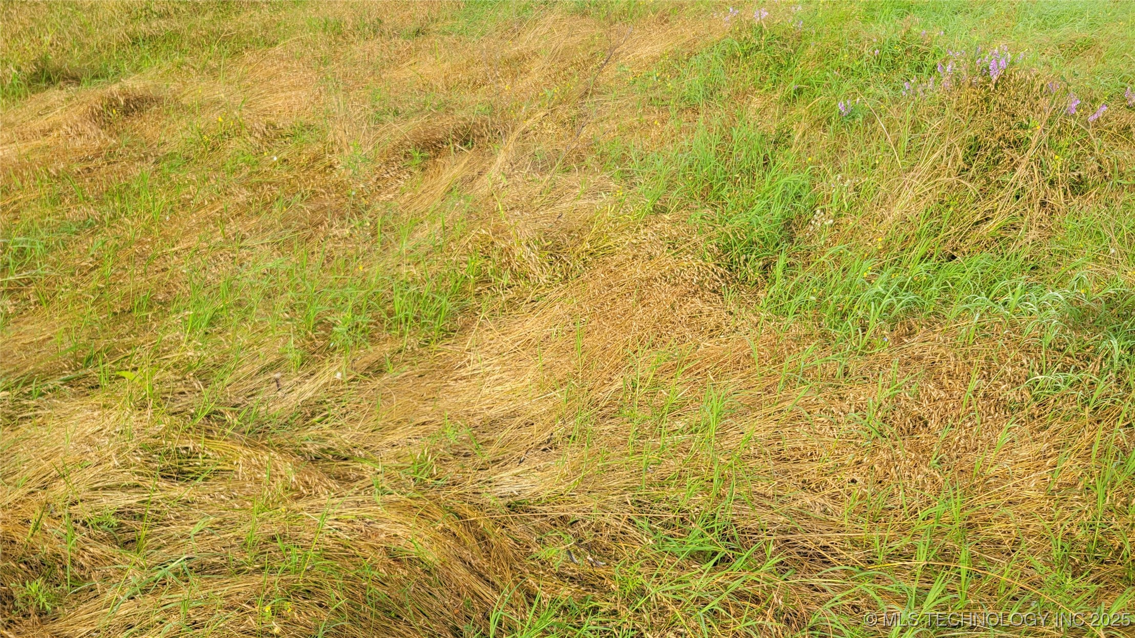 9725 County Road 3470 Property Photo 65