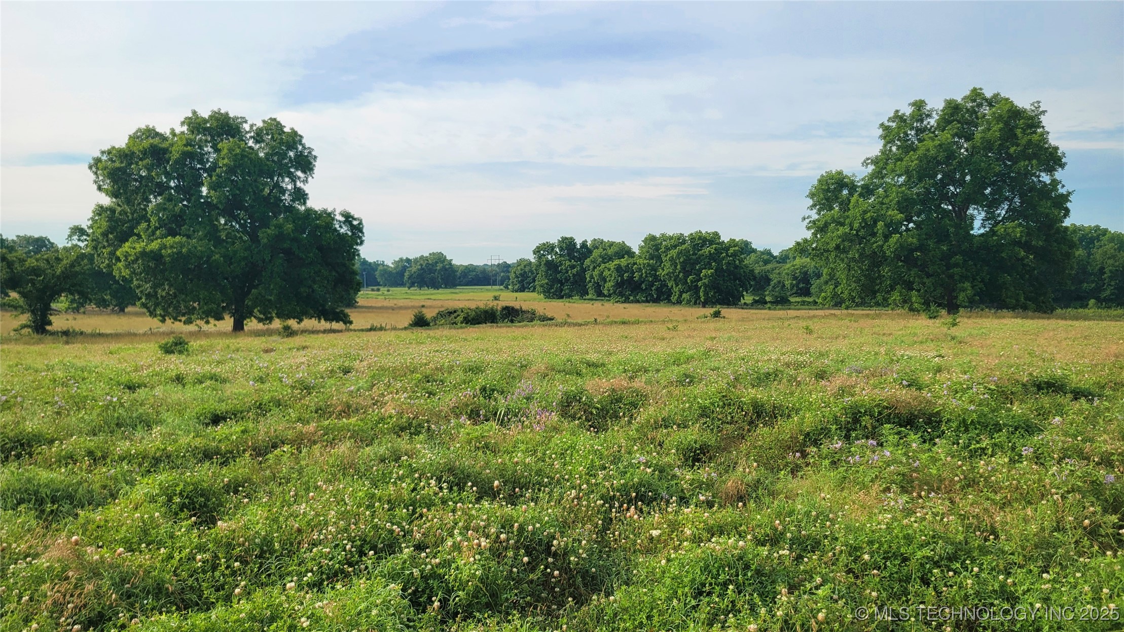 9725 County Road 3470 Property Photo 66