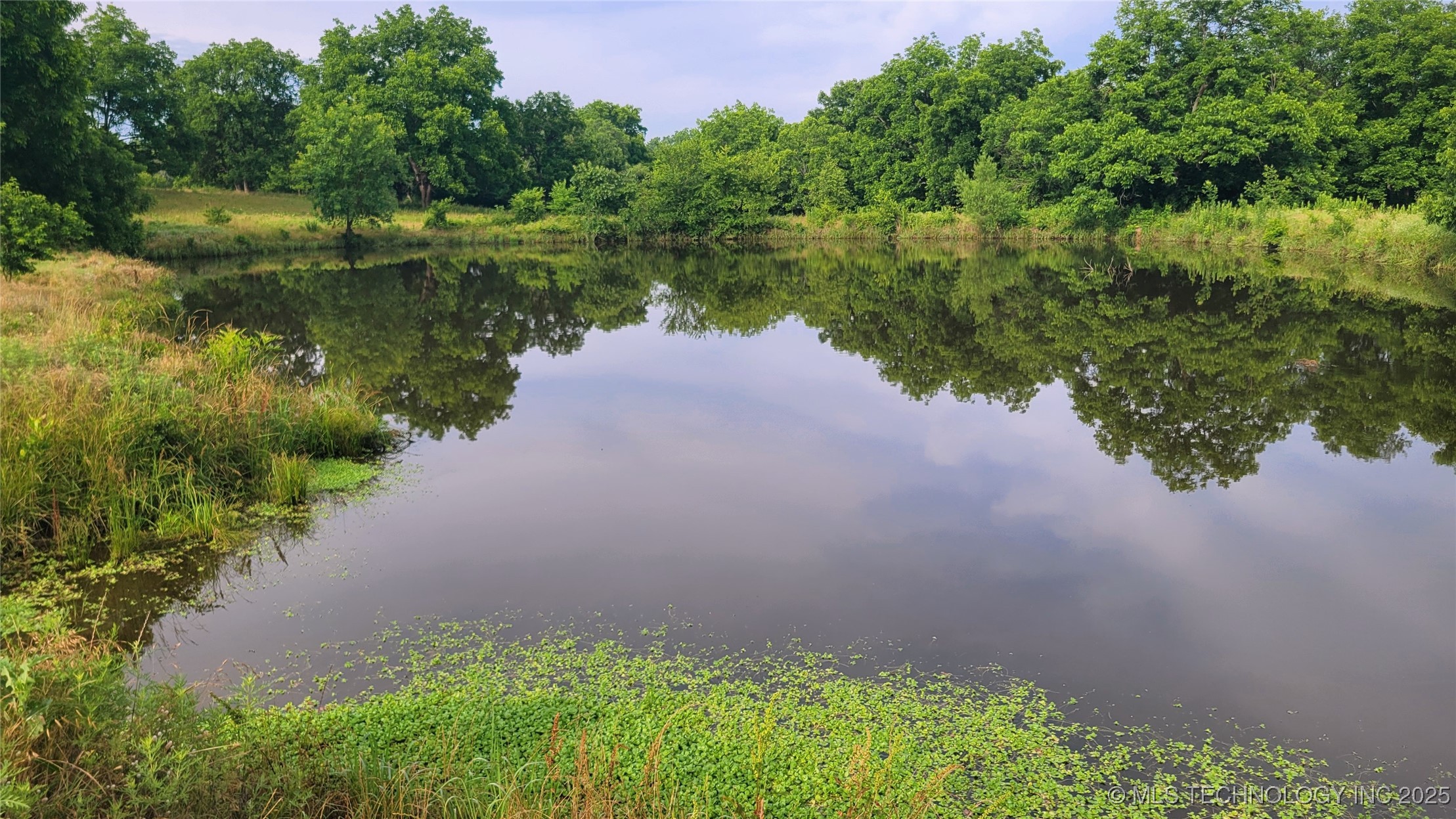 9725 County Road 3470 Property Photo 67