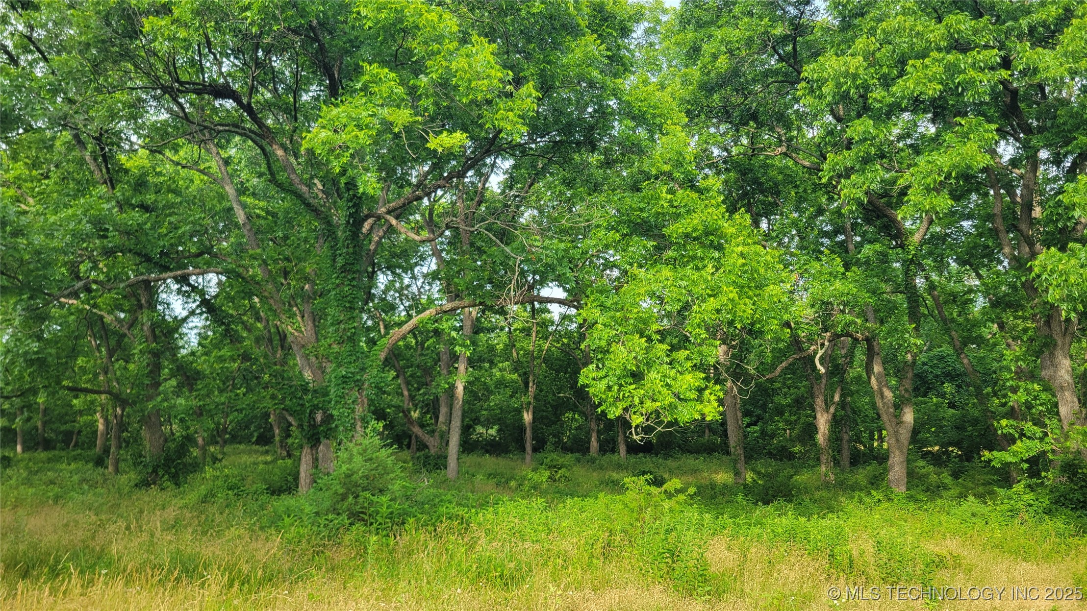 9725 County Road 3470 Property Photo 68