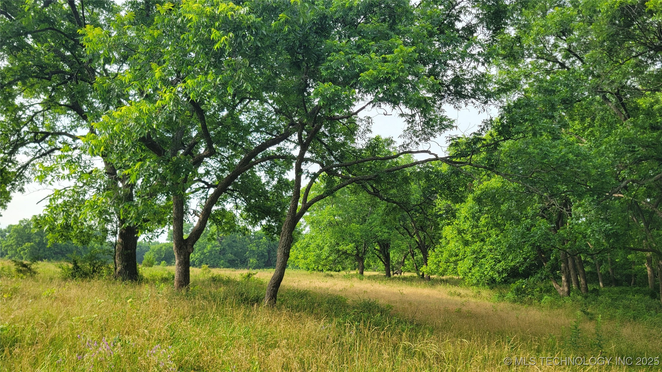 9725 County Road 3470 Property Photo 69