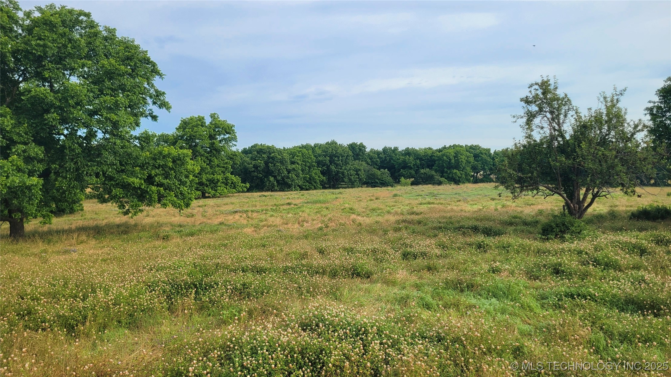 9725 County Road 3470 Property Photo 78