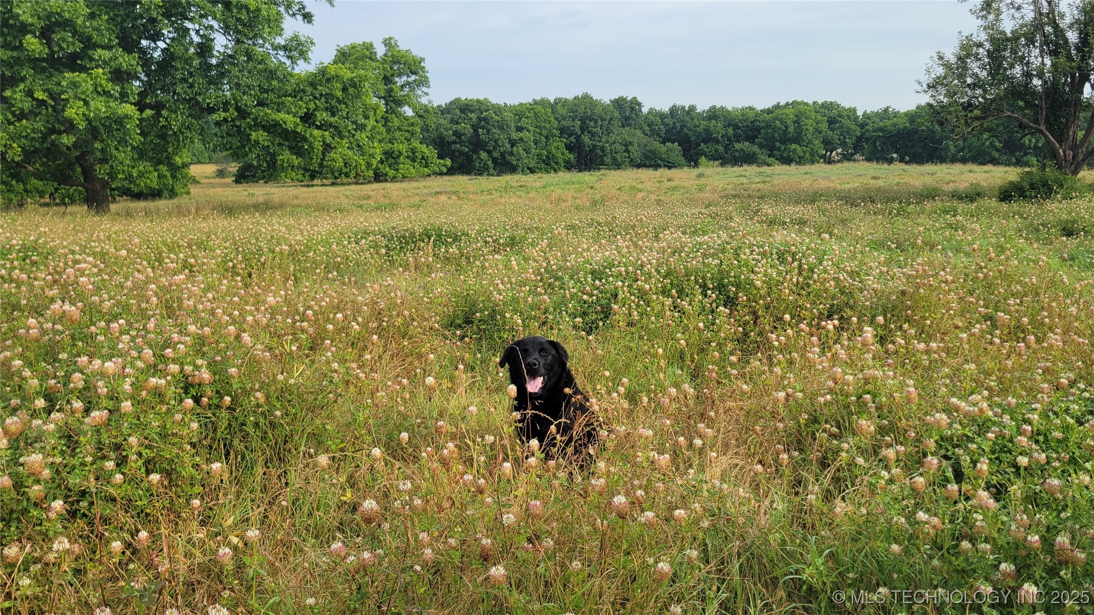 9725 County Road 3470 Property Photo 79
