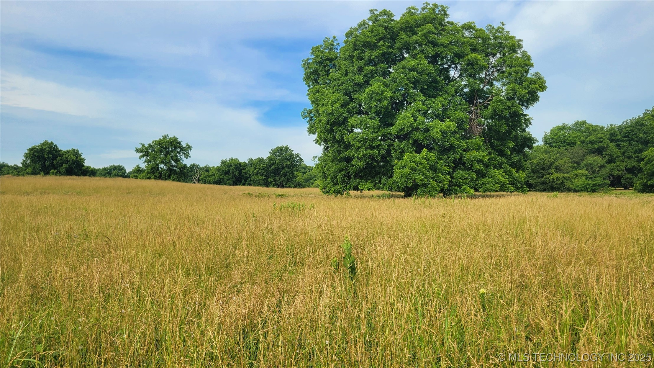 9725 County Road 3470 Property Photo 80