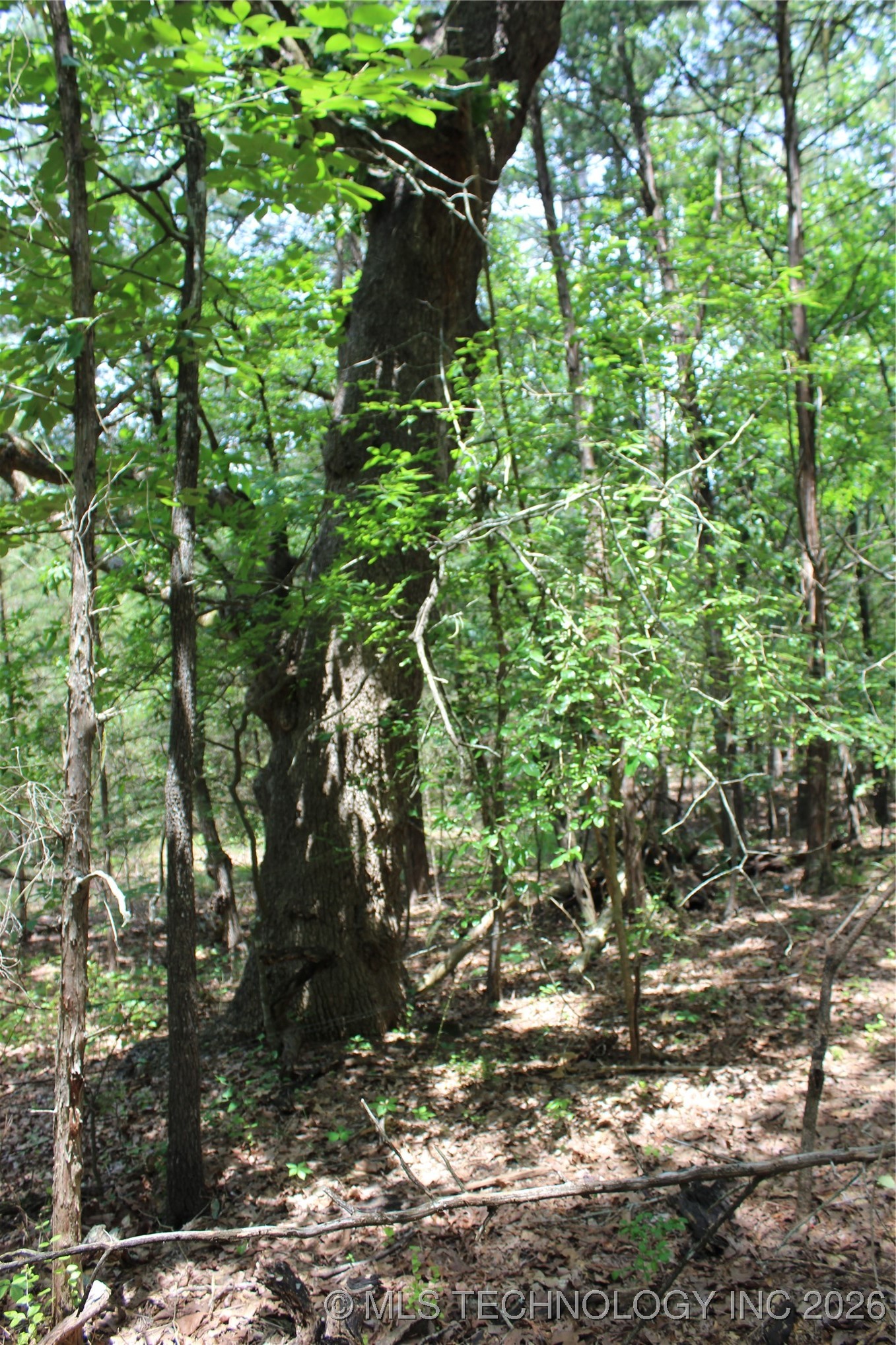 5 E 1909 Road Property Photo 3