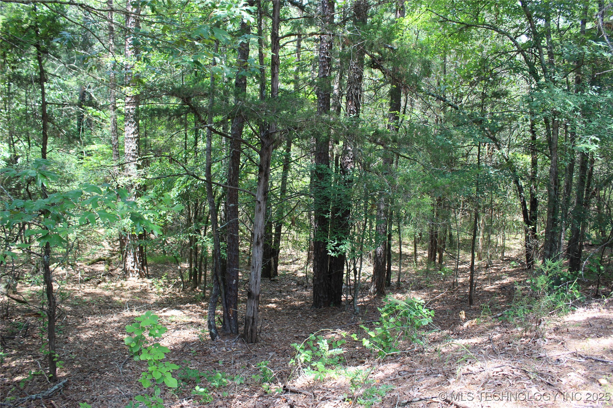 5 E 1909 Road Property Photo 4