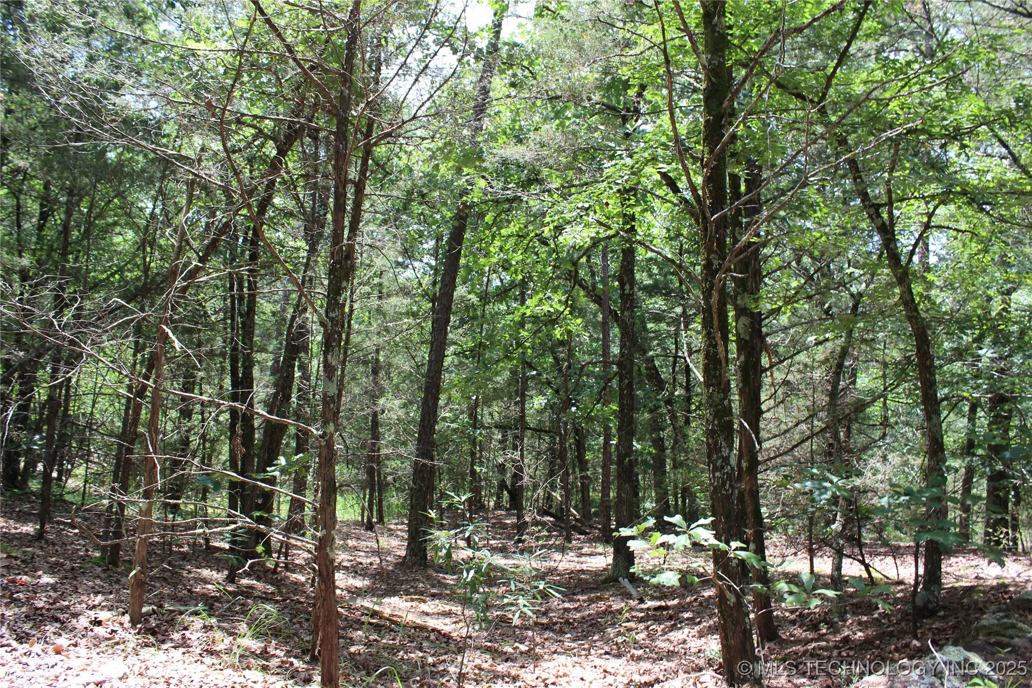 5 E 1909 Road Property Photo 5