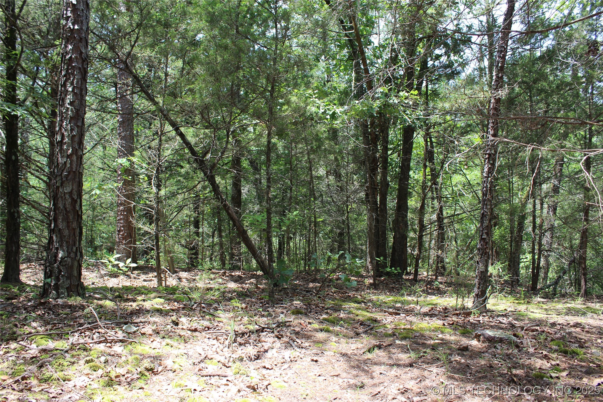 5 E 1909 Road Property Photo 6