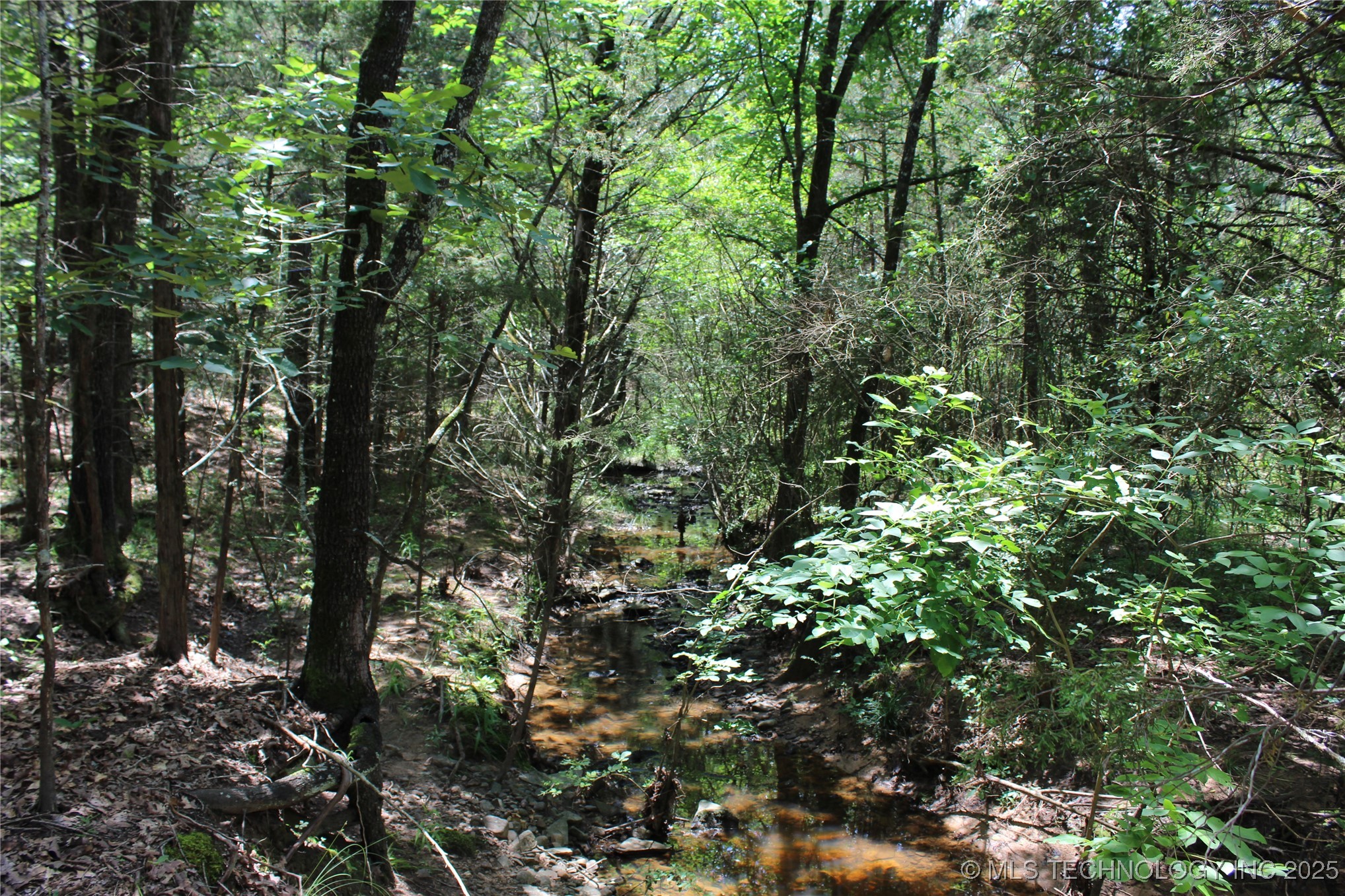 5 E 1909 Road Property Photo 8