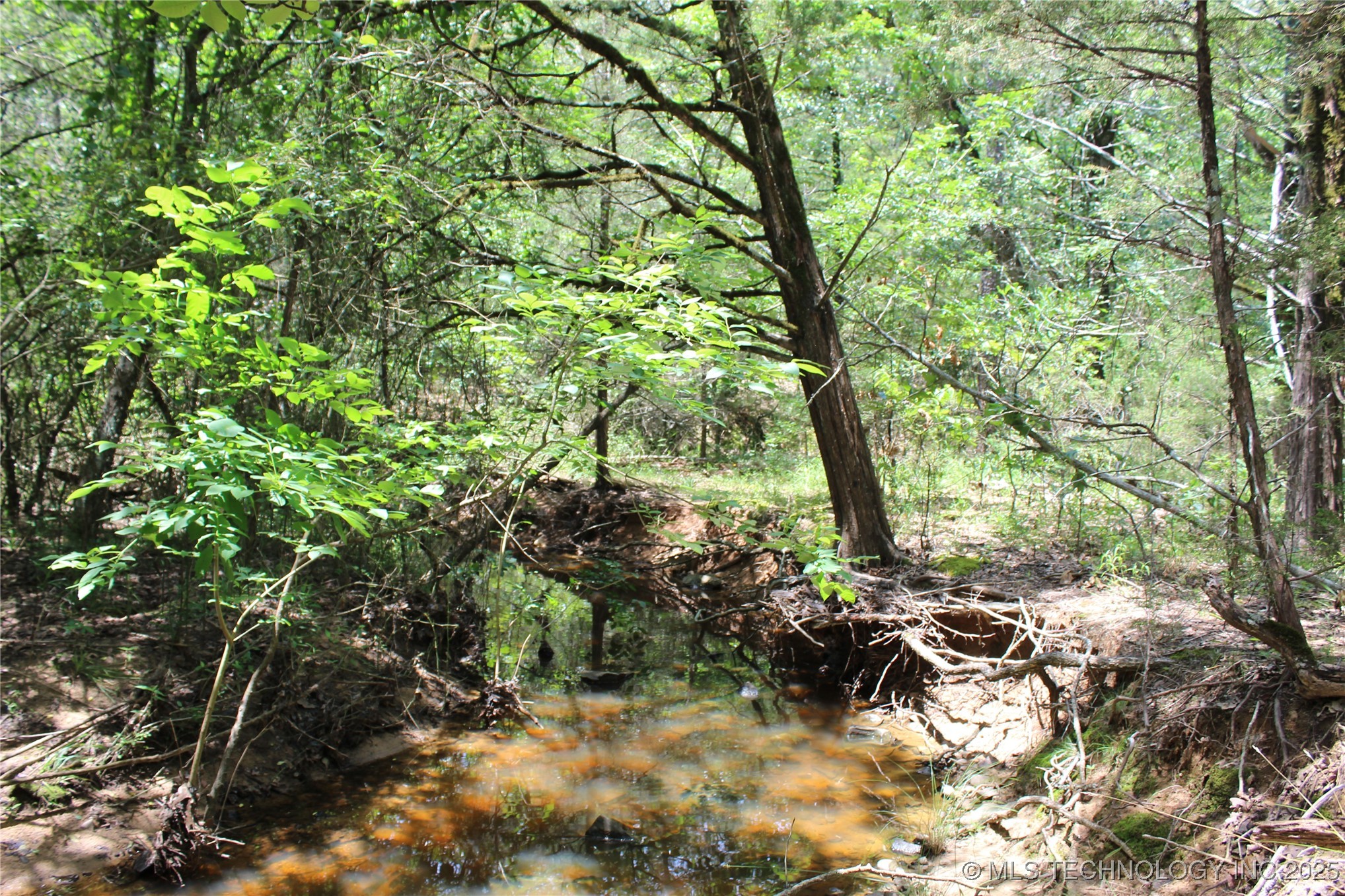 5 E 1909 Road Property Photo 9