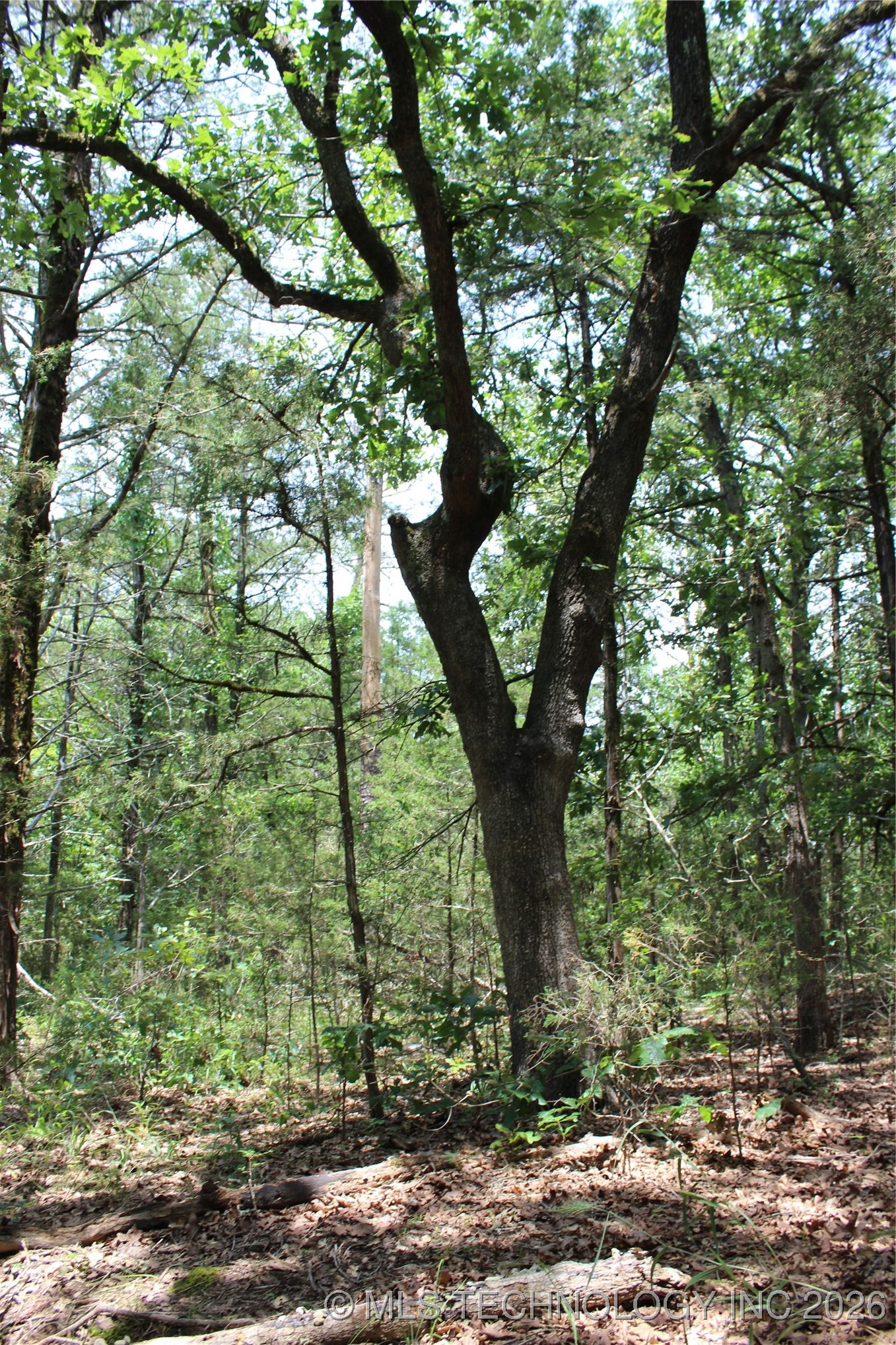 5 E 1909 Road Property Photo 10