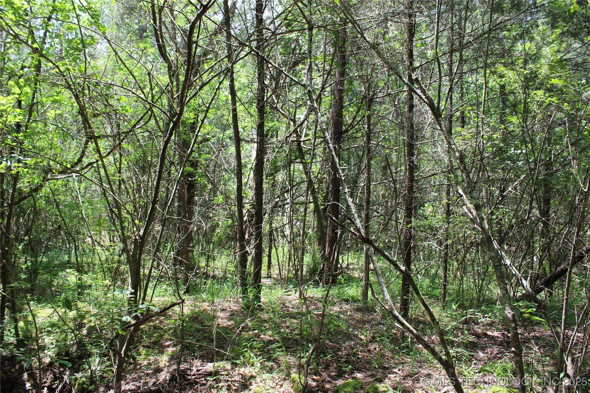 5 E 1909 Road Property Photo 12