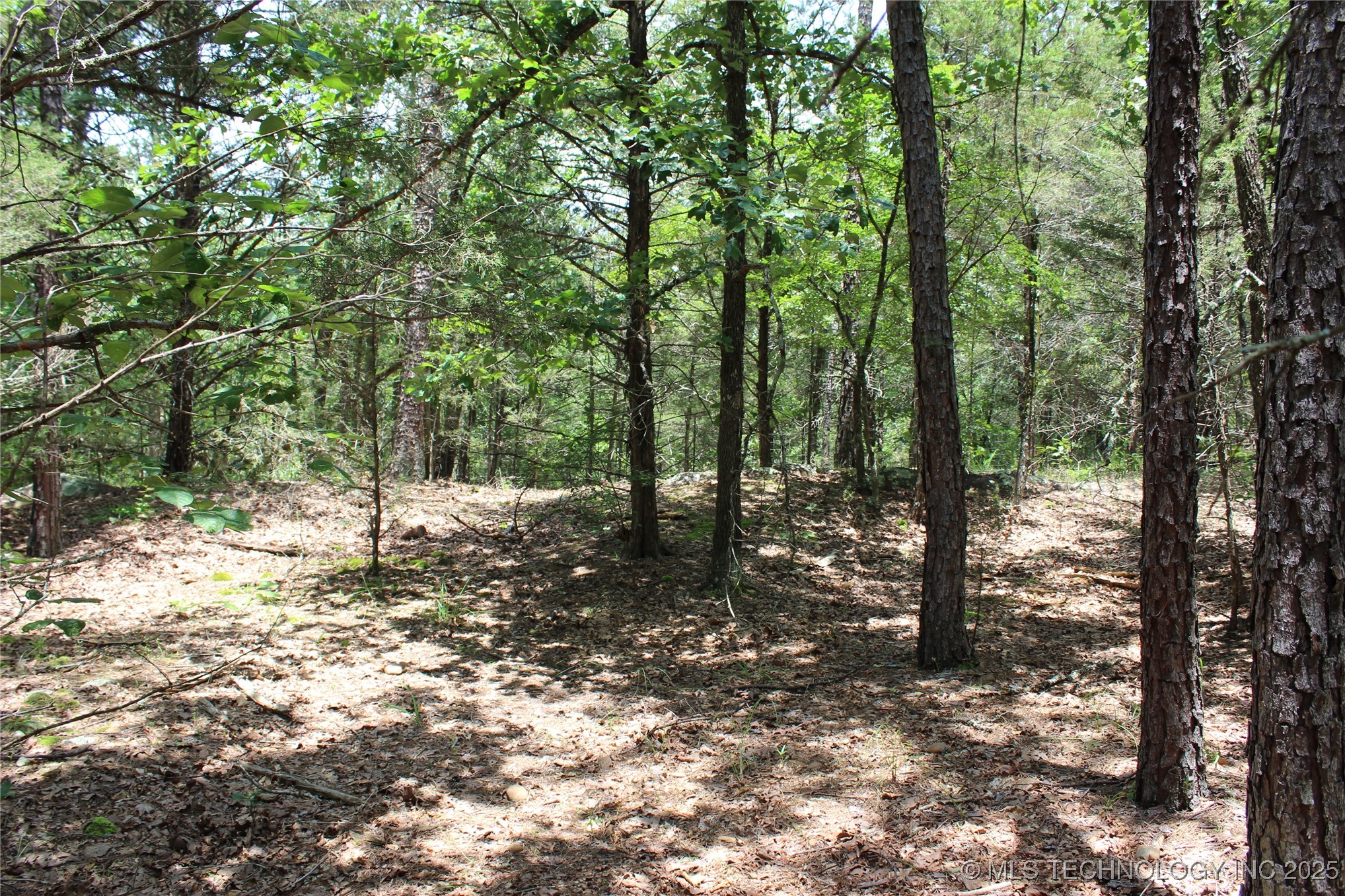 5 E 1909 Road Property Photo 13