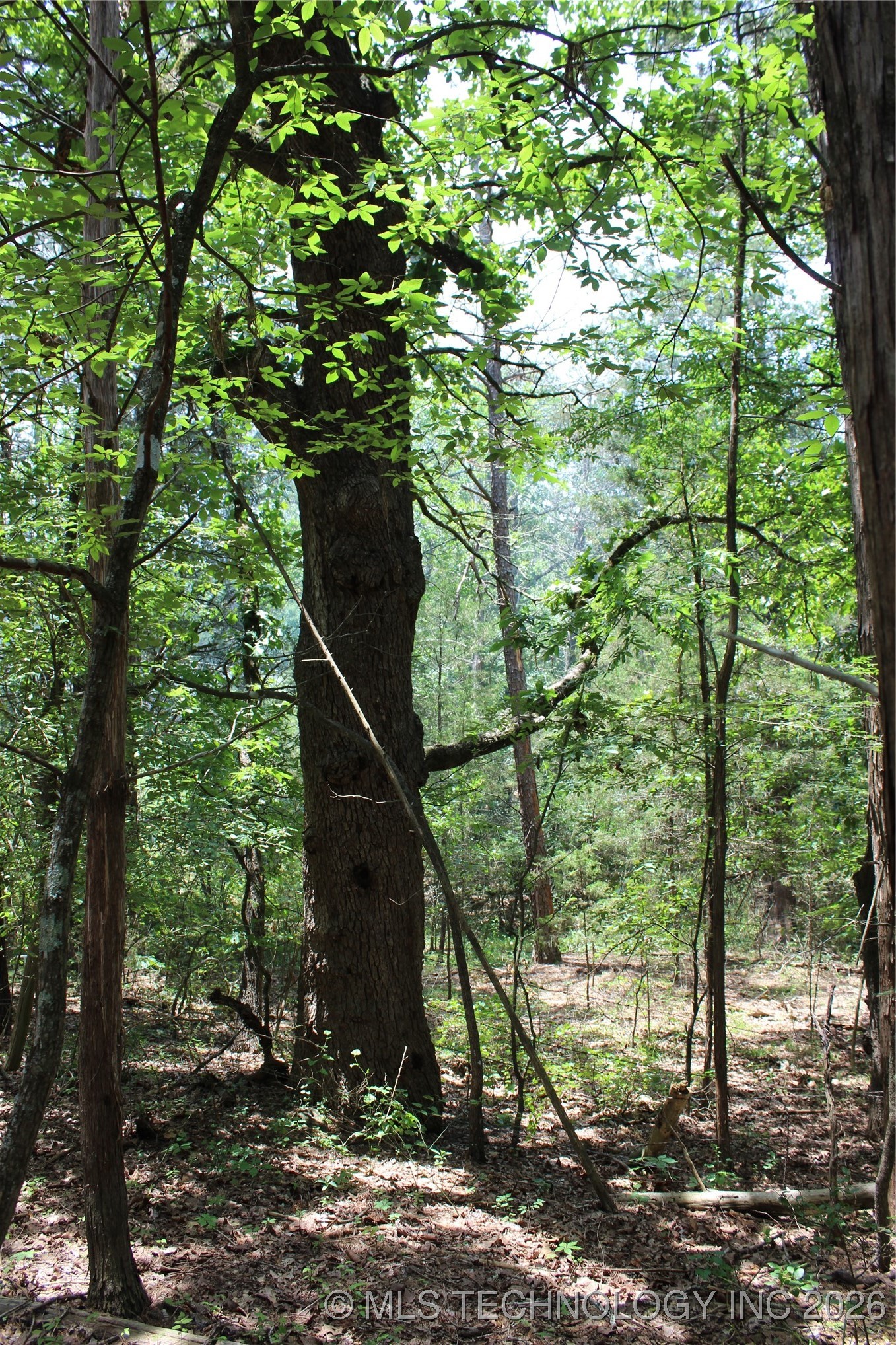 5 E 1909 Road Property Photo 15