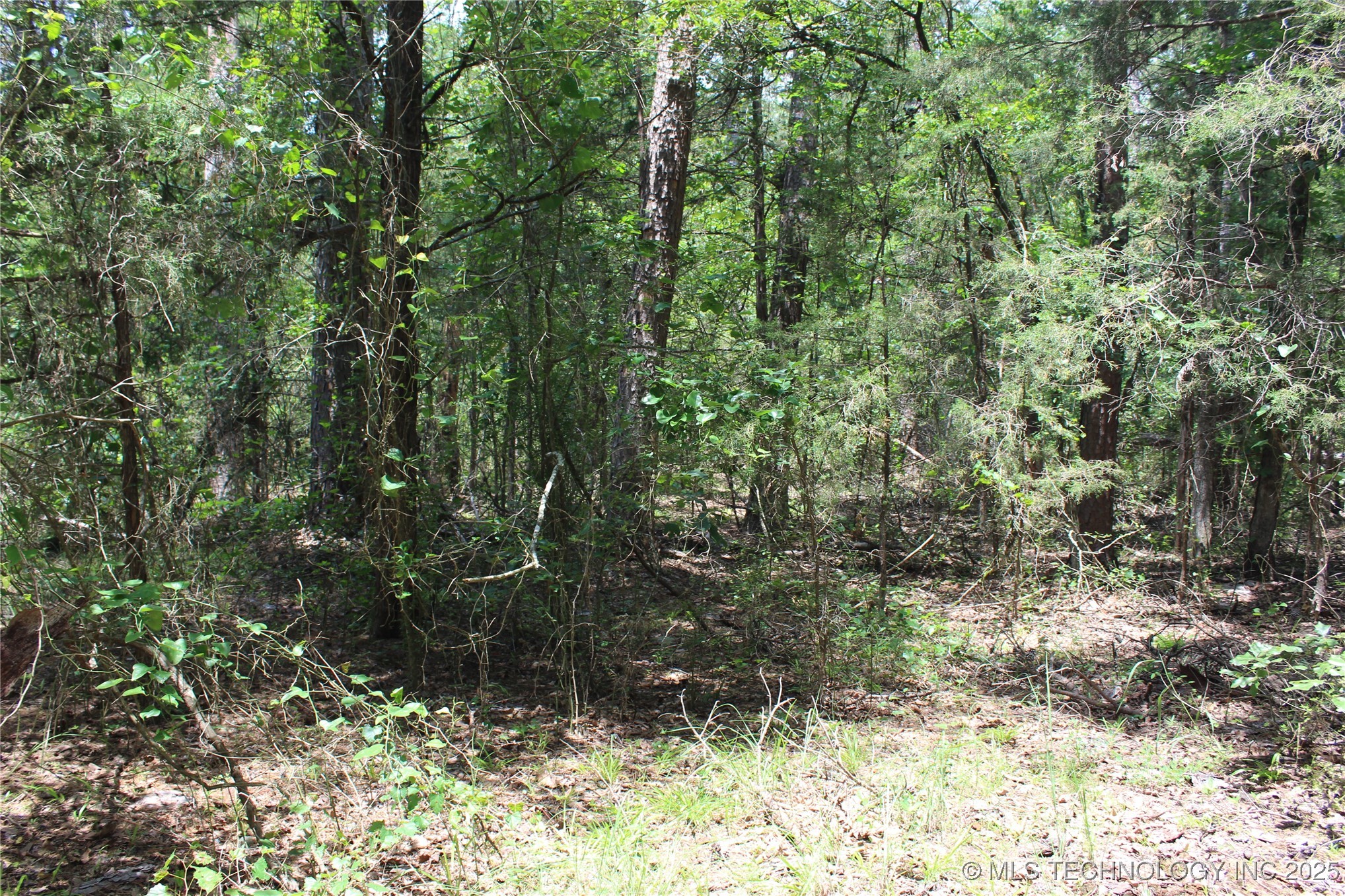 5 E 1909 Road Property Photo 16