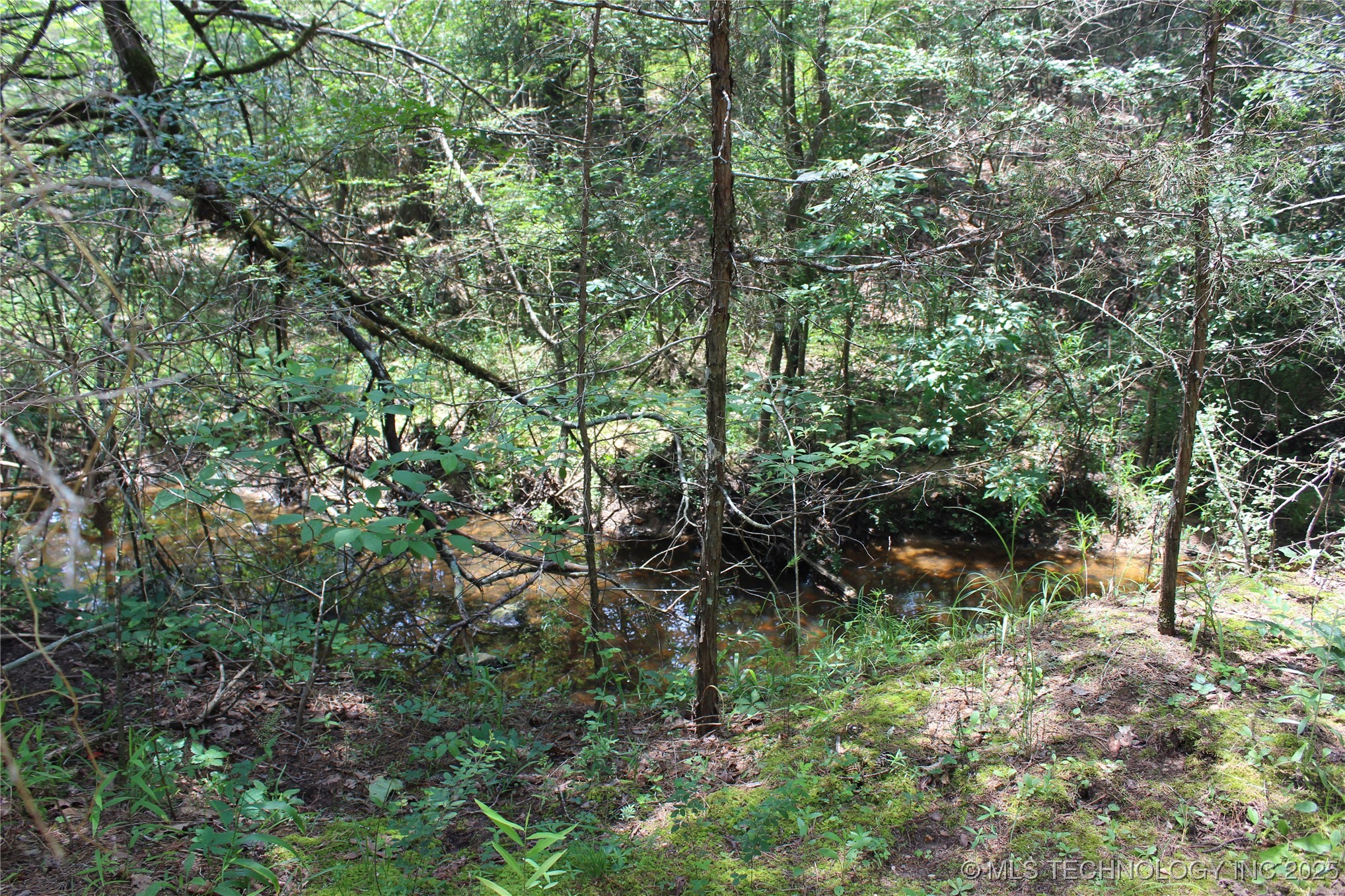 5 E 1909 Road Property Photo 17