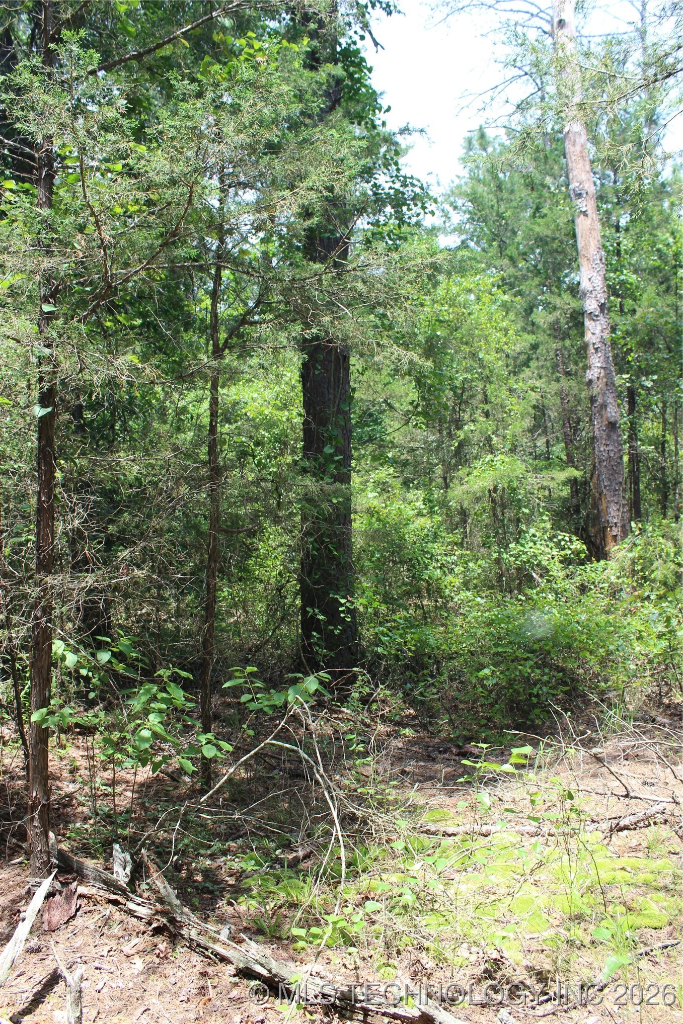 5 E 1909 Road Property Photo 18