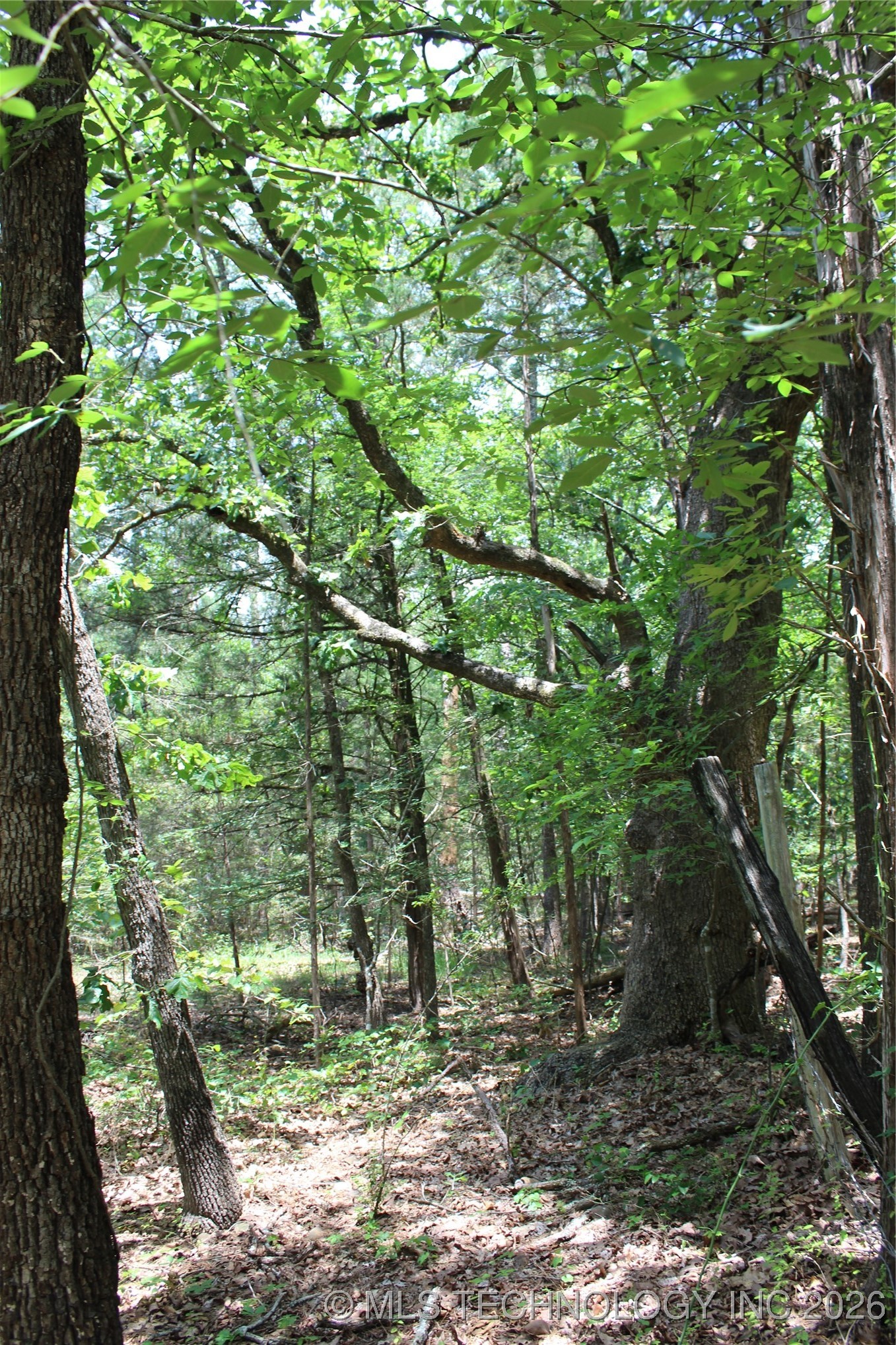 5 E 1909 Road Property Photo 19