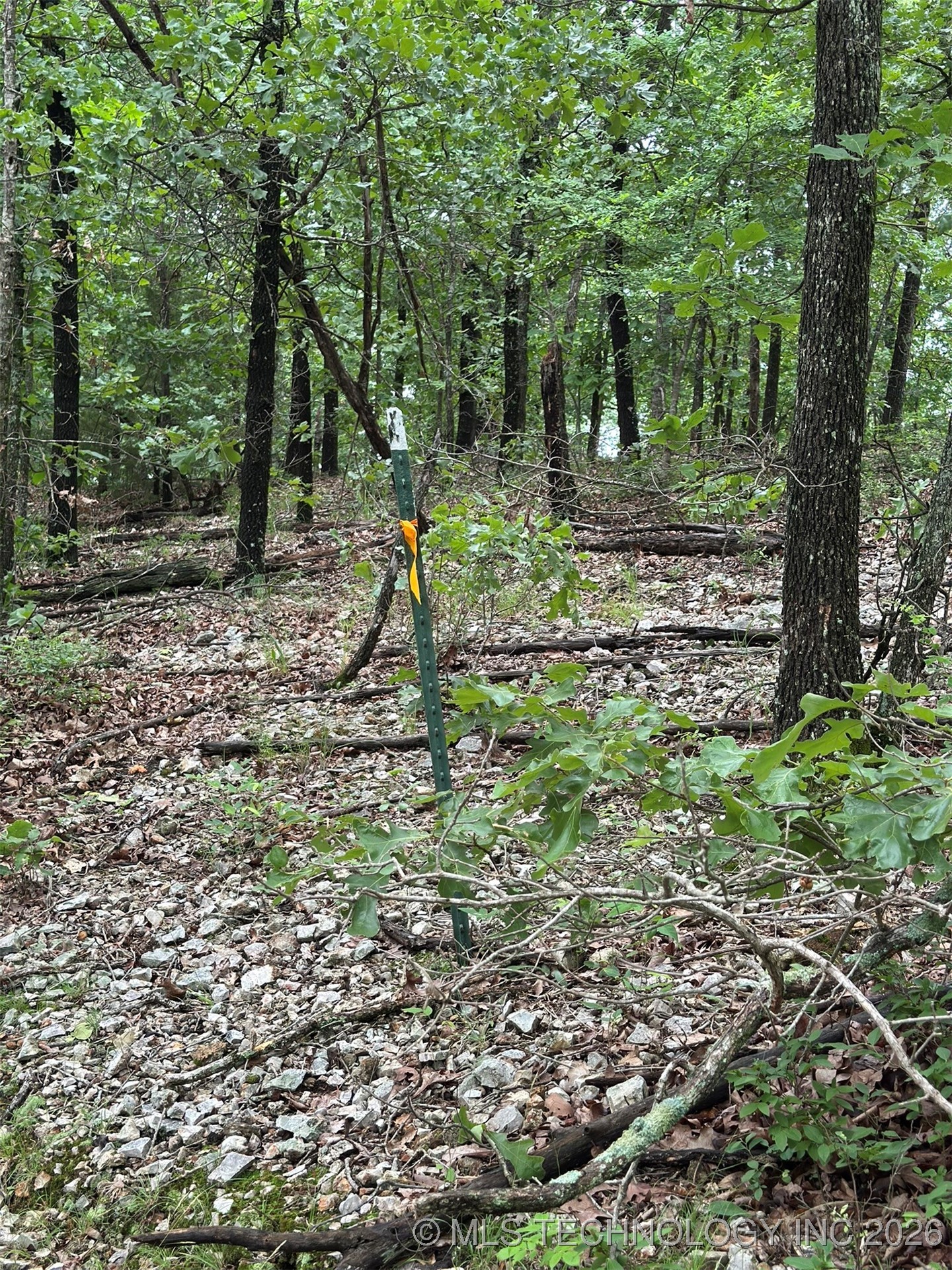 463899 Taylor Ridge Road Property Photo 16