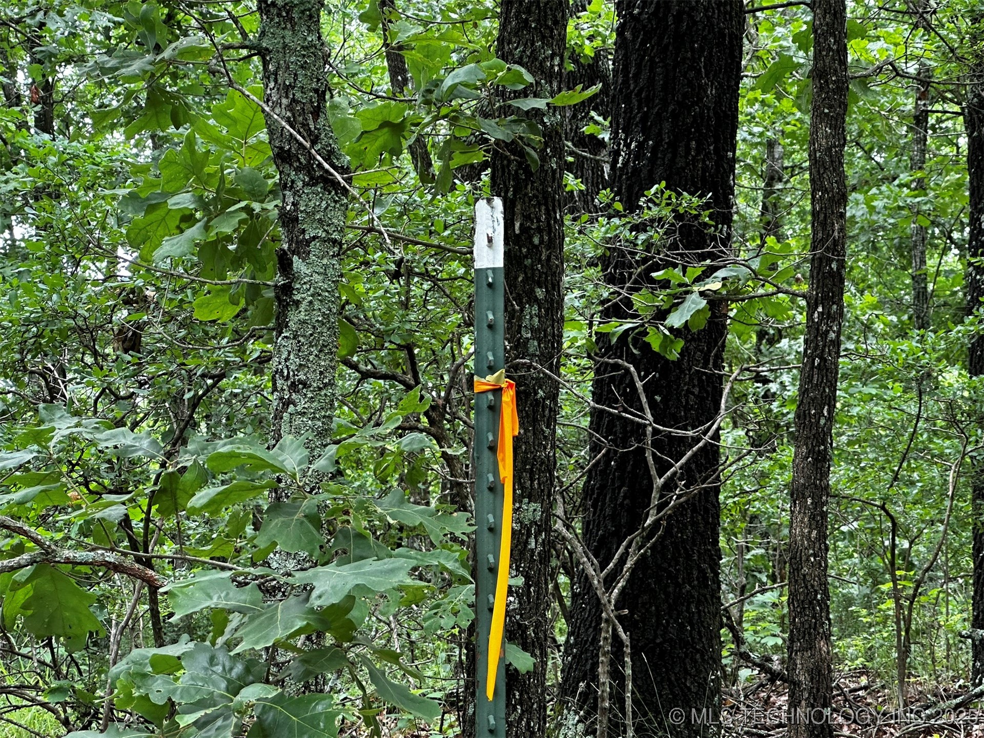 463899 Taylor Ridge Road Property Photo 17