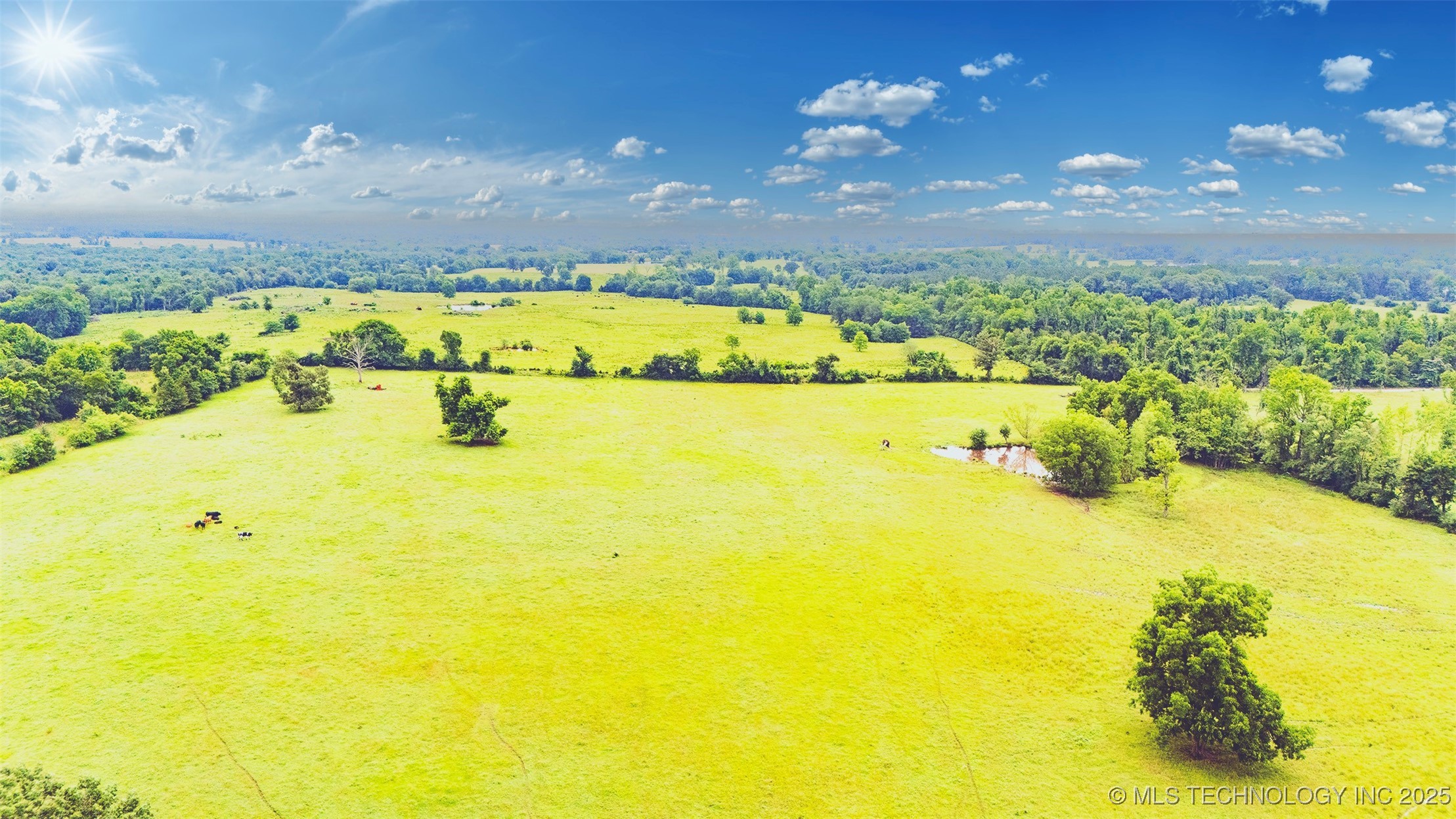 01 Cornerstone Lane Property Photo 15