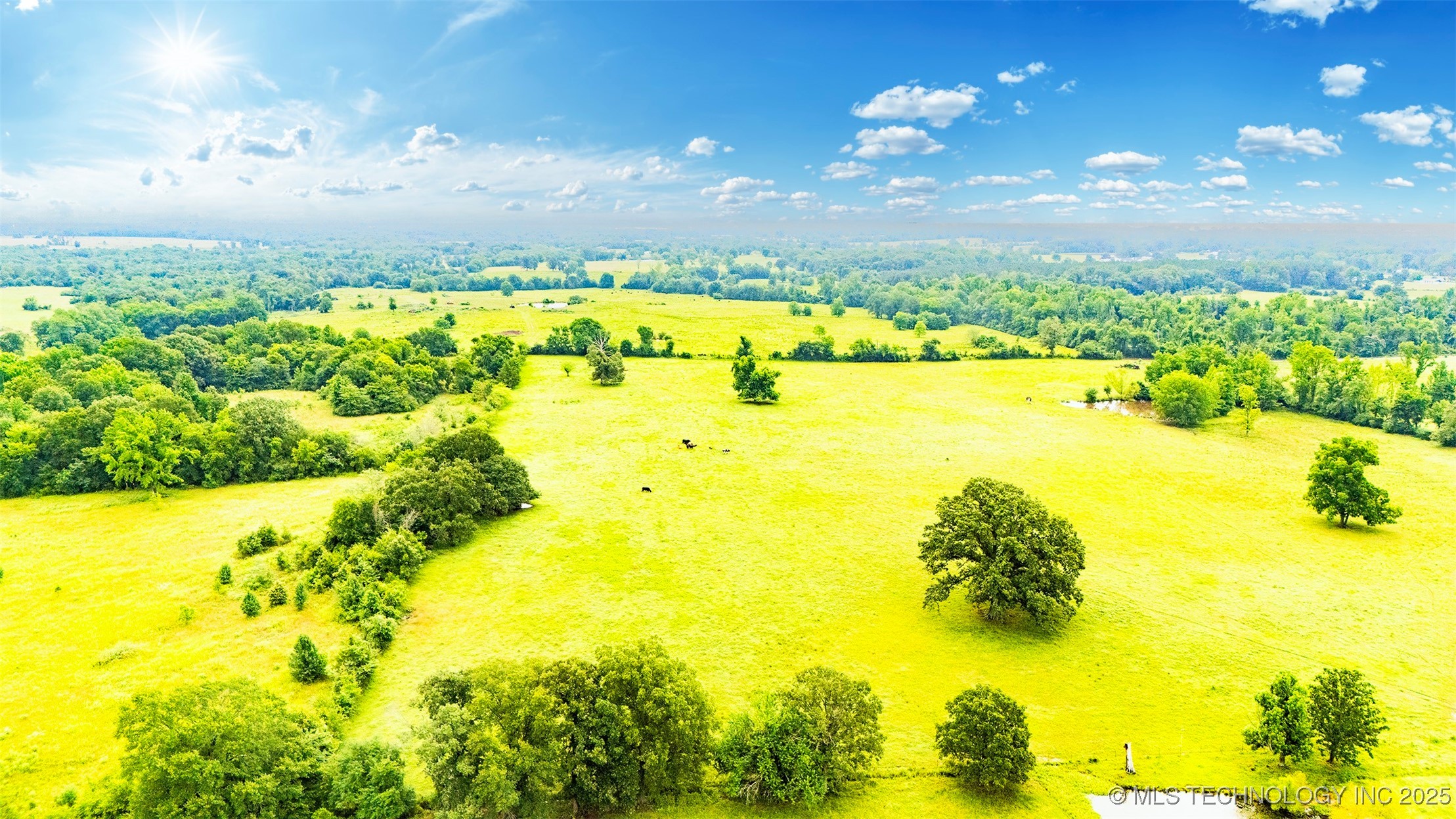 01 Cornerstone Lane Property Photo 19