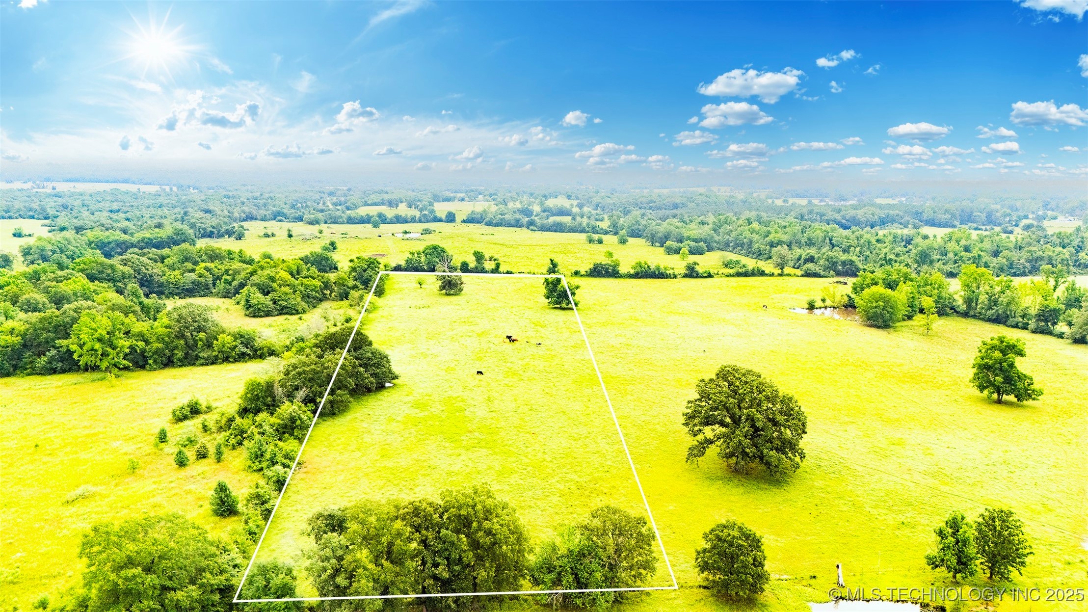 01 Cornerstone Lane Property Photo 20