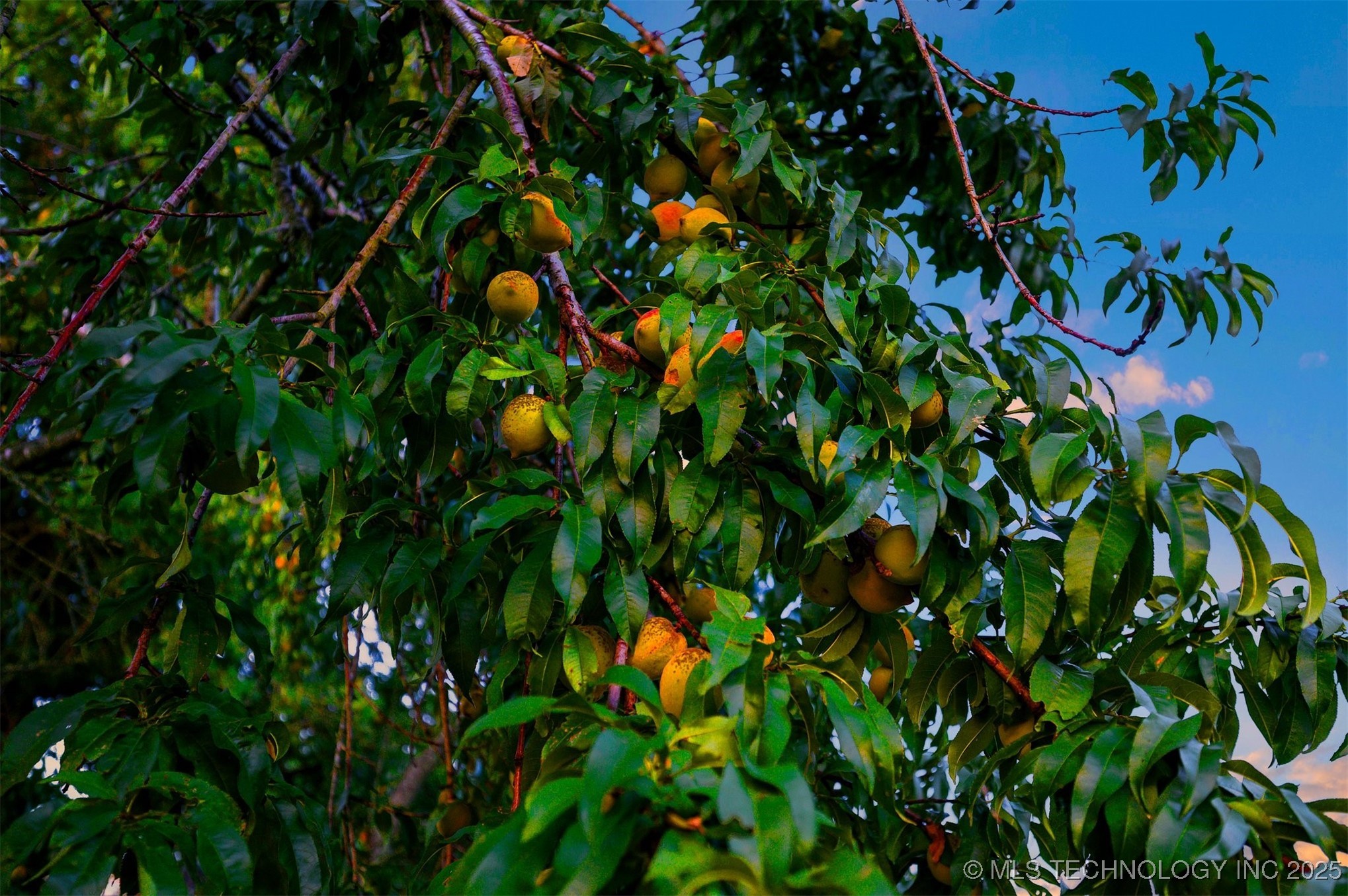 800 N Denison Road Property Photo 86