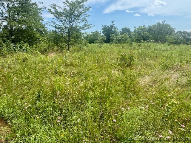 37 Red Bird Lane Property Photo 5