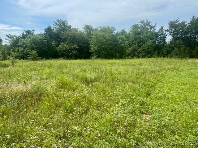 37 Red Bird Lane Property Photo 6