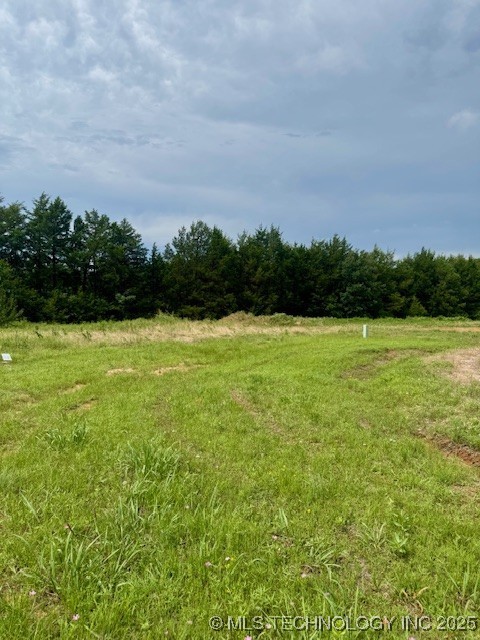 37 Red Bird Lane Property Photo 8