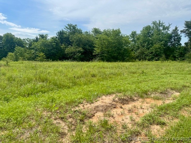 37 Red Bird Lane Property Photo 9