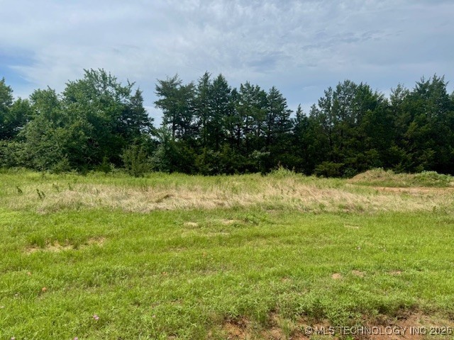 37 Red Bird Lane Property Photo 10