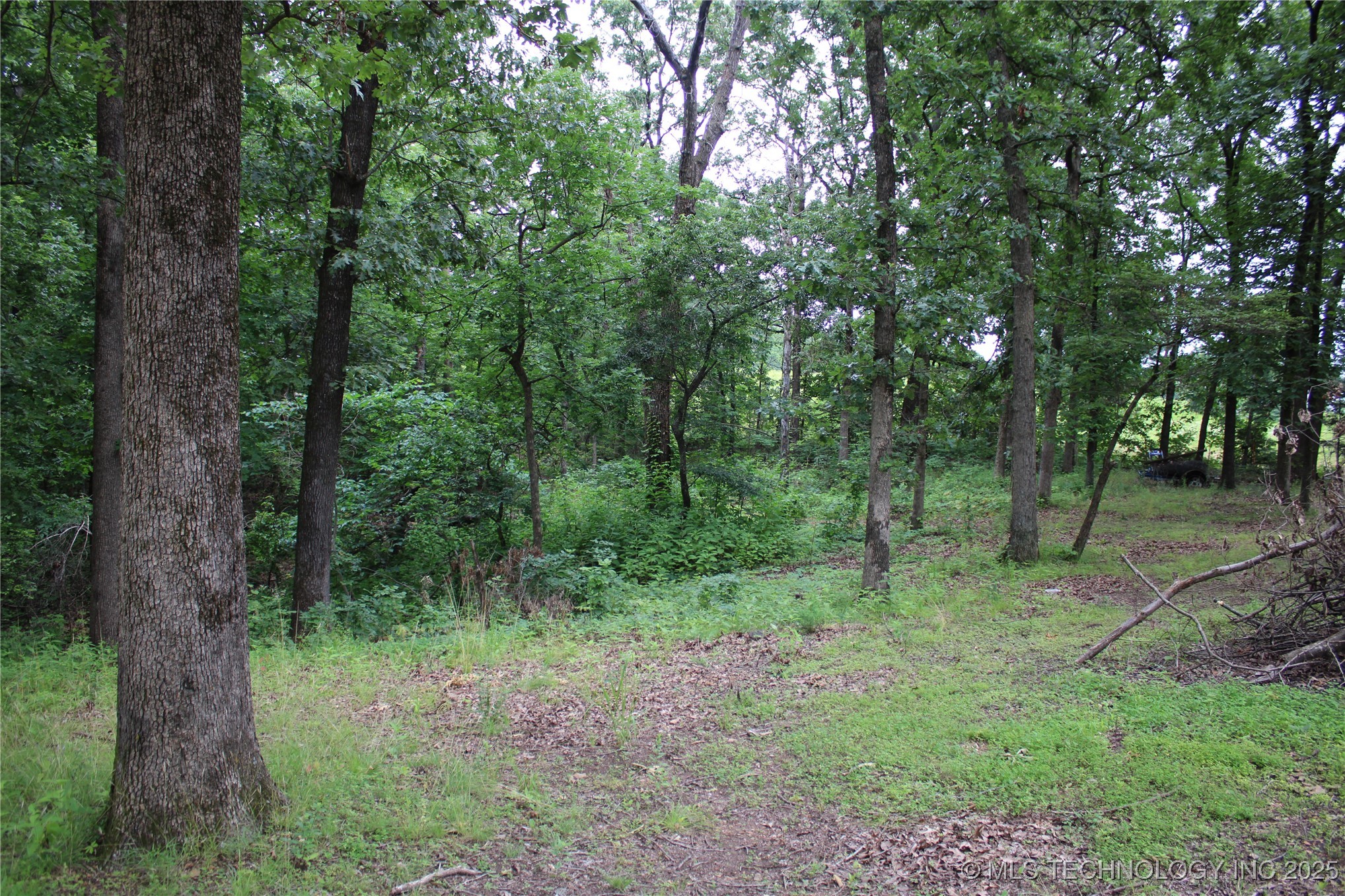 0000 S 637 Road Property Photo 1