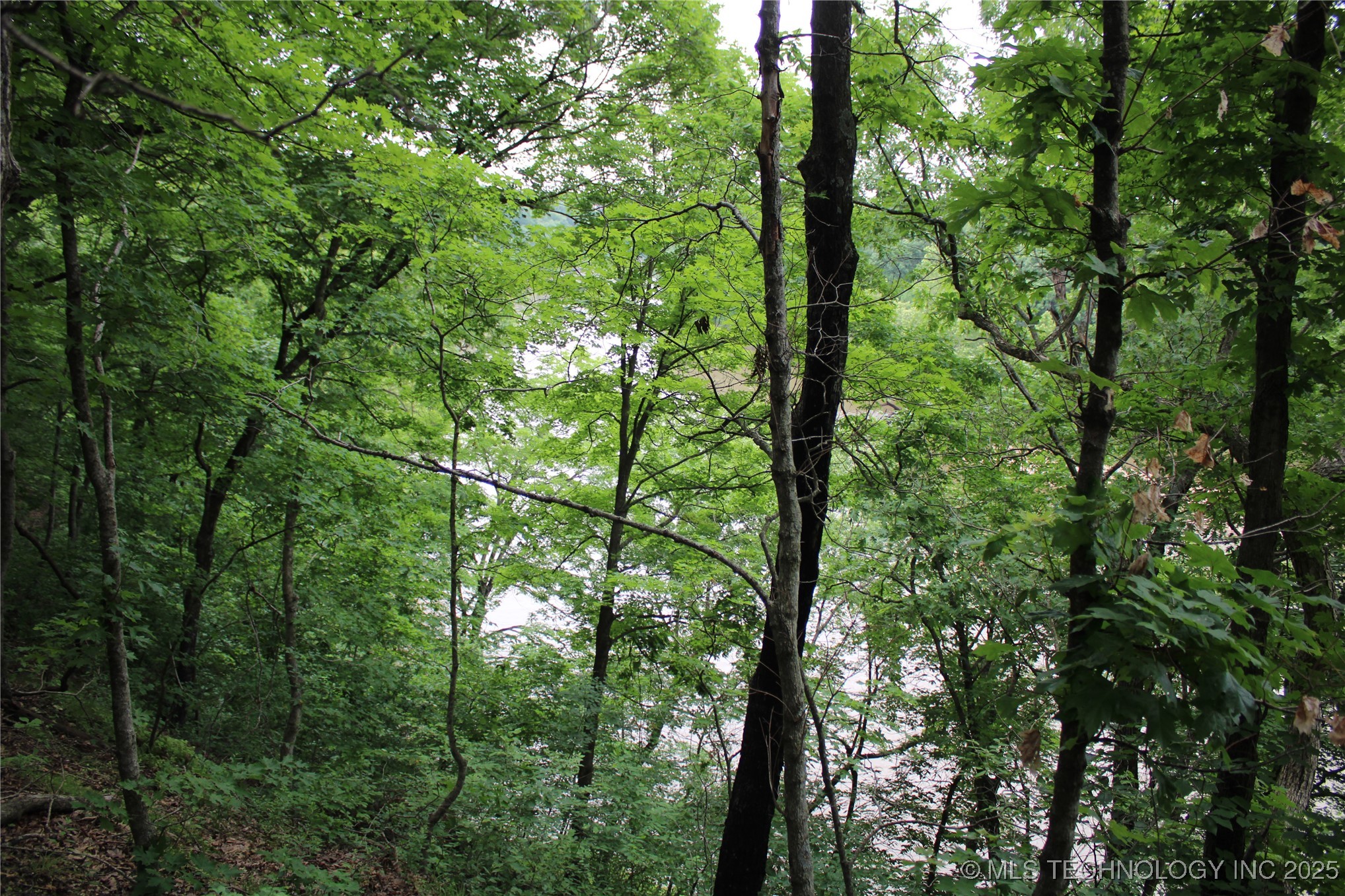 0000 S 637 Road Property Photo 7