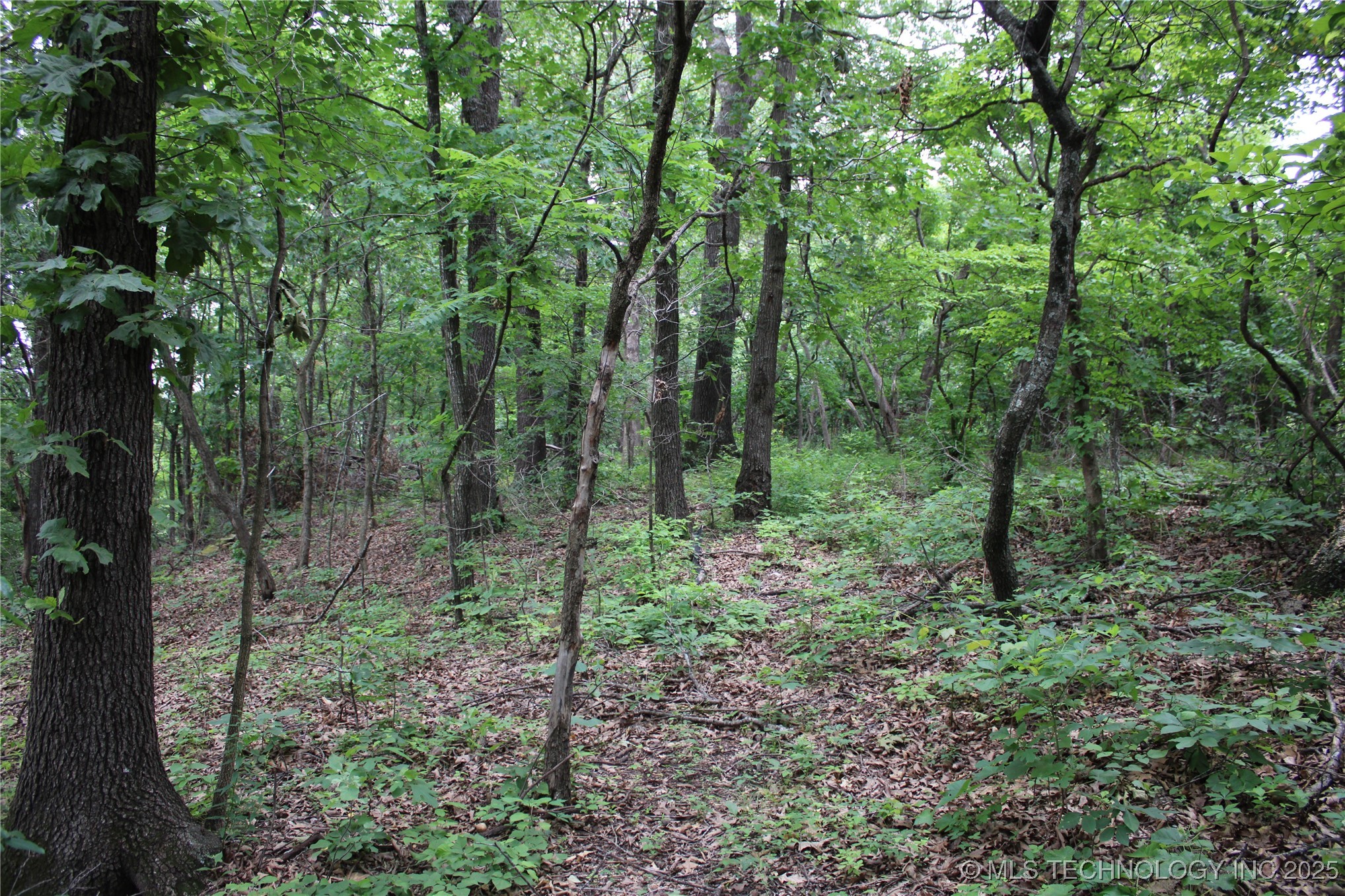 0000 S 637 Road Property Photo 9