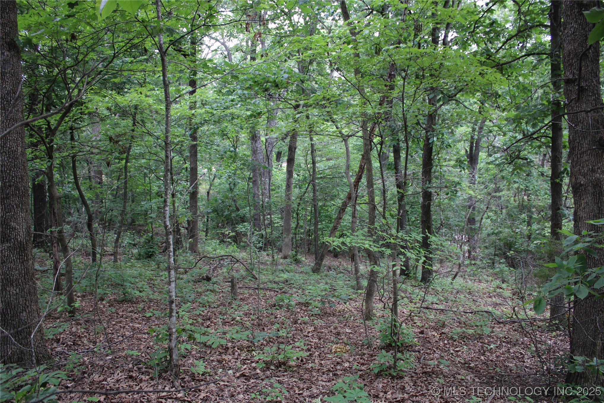 0000 S 637 Road Property Photo 10