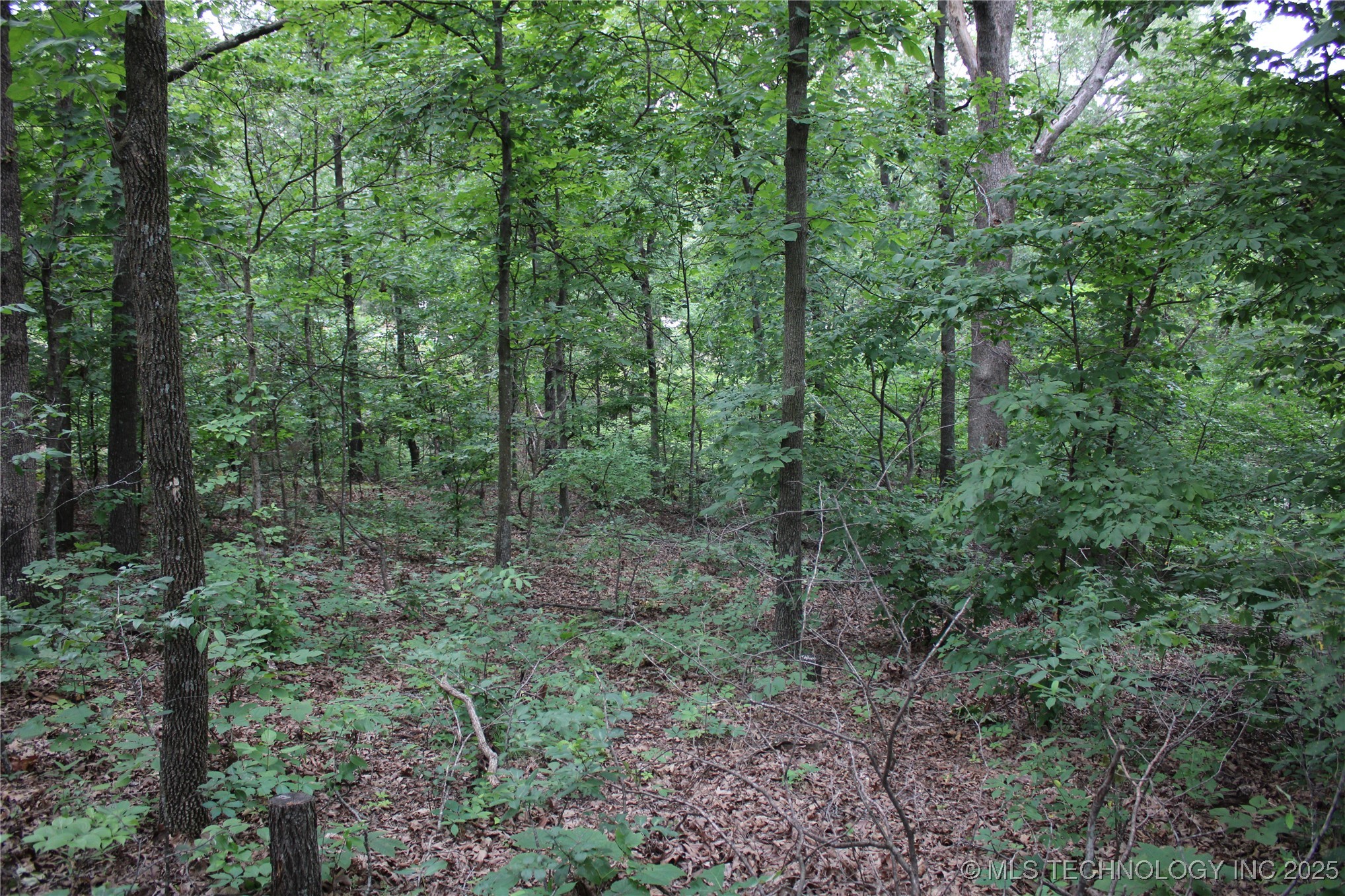 0000 S 637 Road Property Photo 11