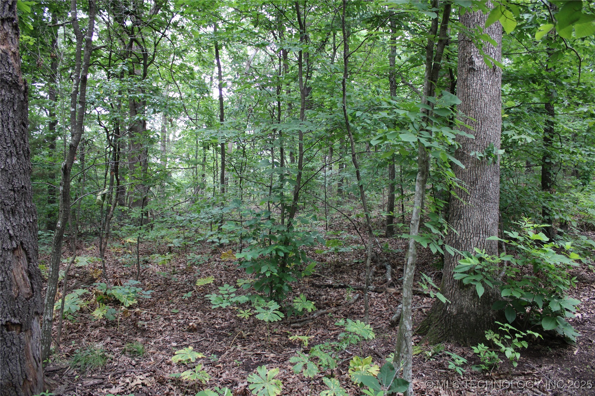 0000 S 637 Road Property Photo 12