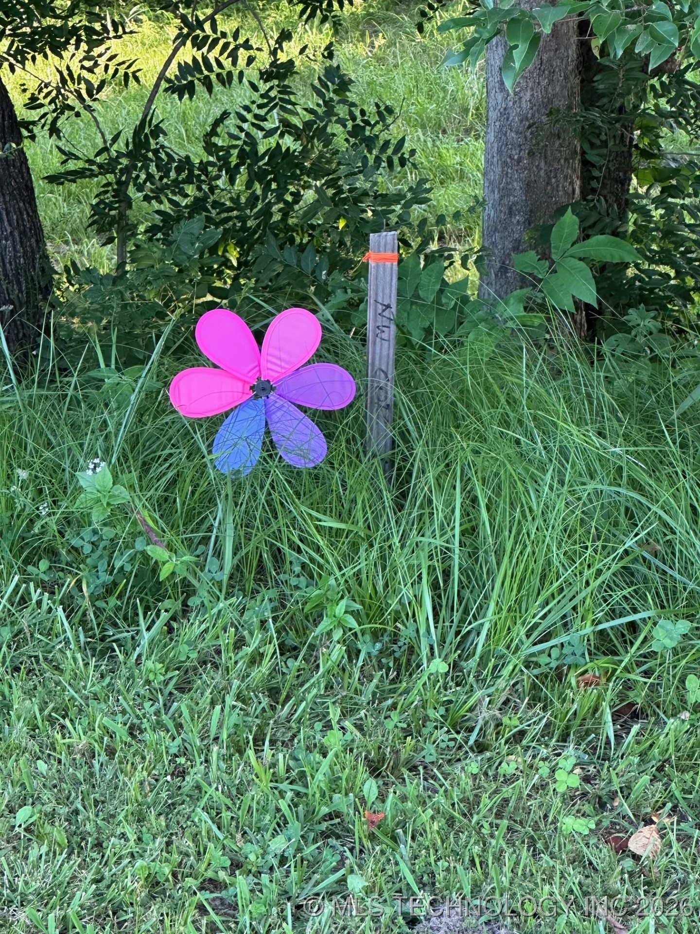 5544 Lake Drive Property Photo 5