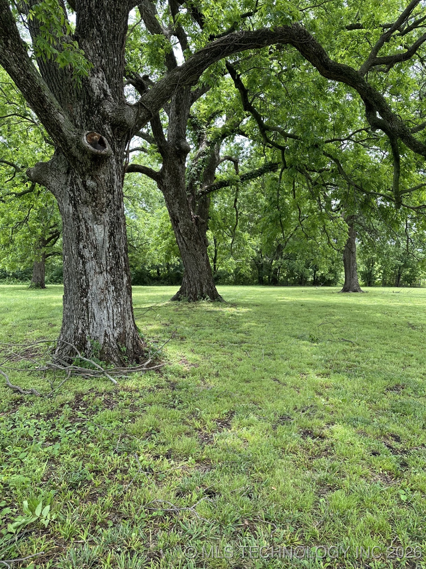 5544 Lake Drive Property Photo 8