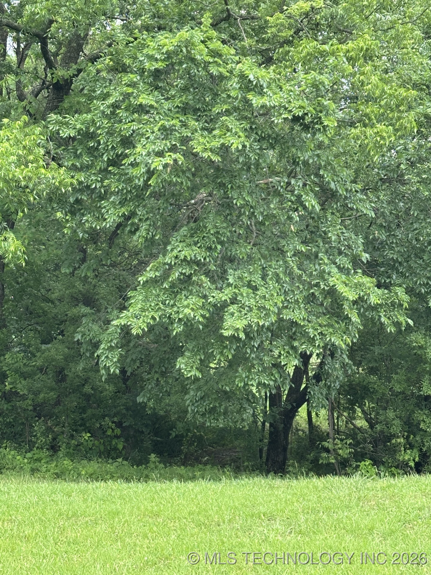 5544 Lake Drive Property Photo 11