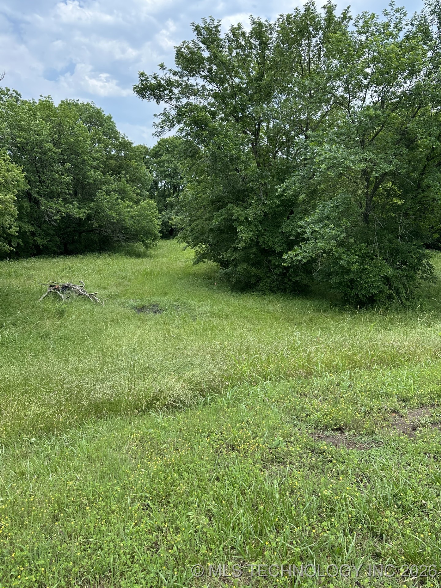 5544 Lake Drive Property Photo 12