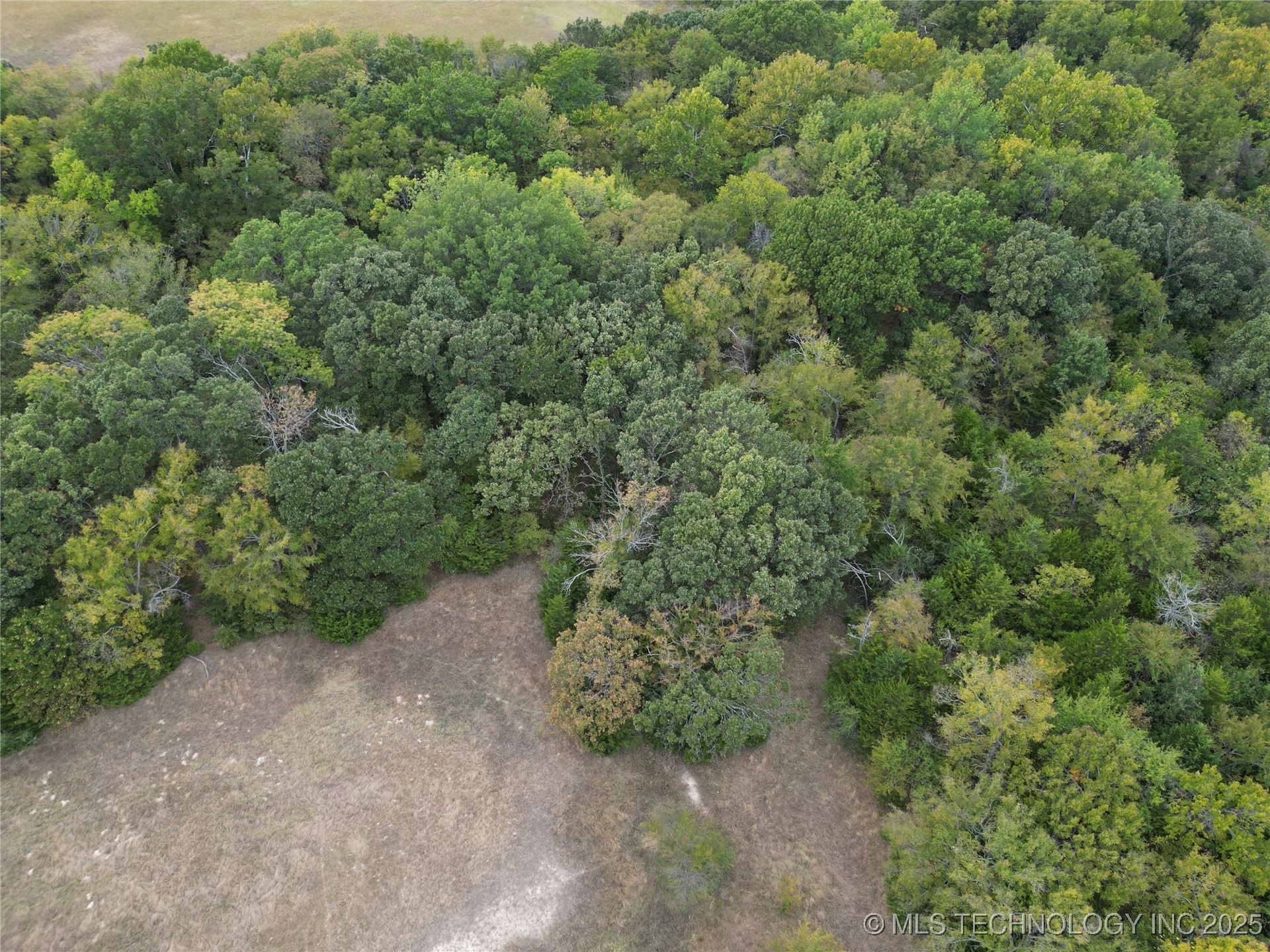 0007 Buck Street Property Photo 8