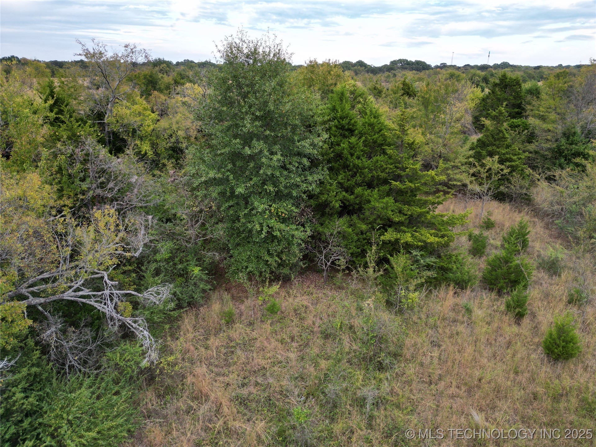 0007 Buck Street Property Photo 10