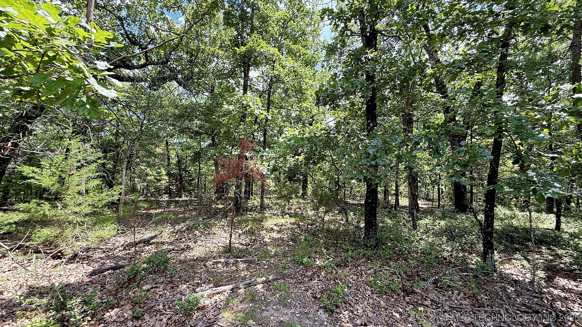 2210 Sunny Circle Property Photo 5