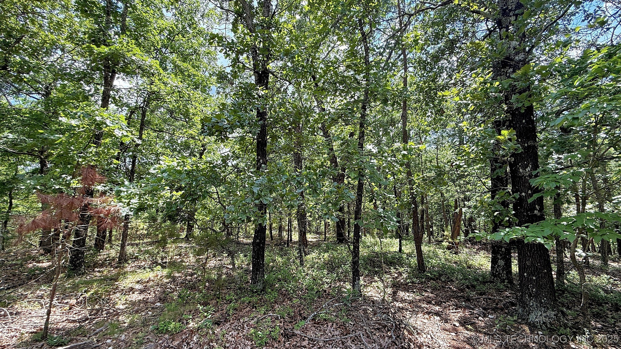 2210 Sunny Circle Property Photo 6