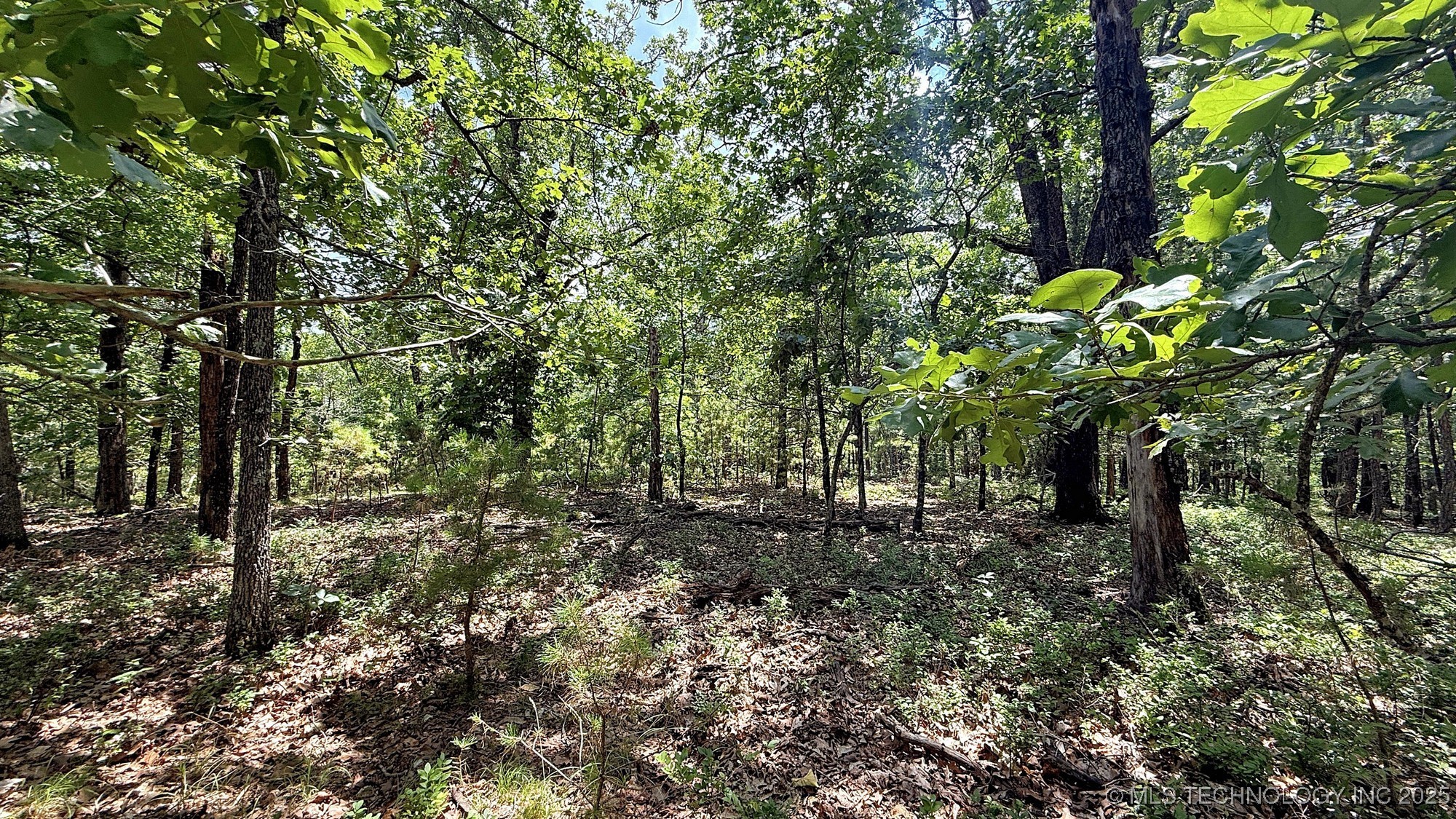 2210 Sunny Circle Property Photo 7