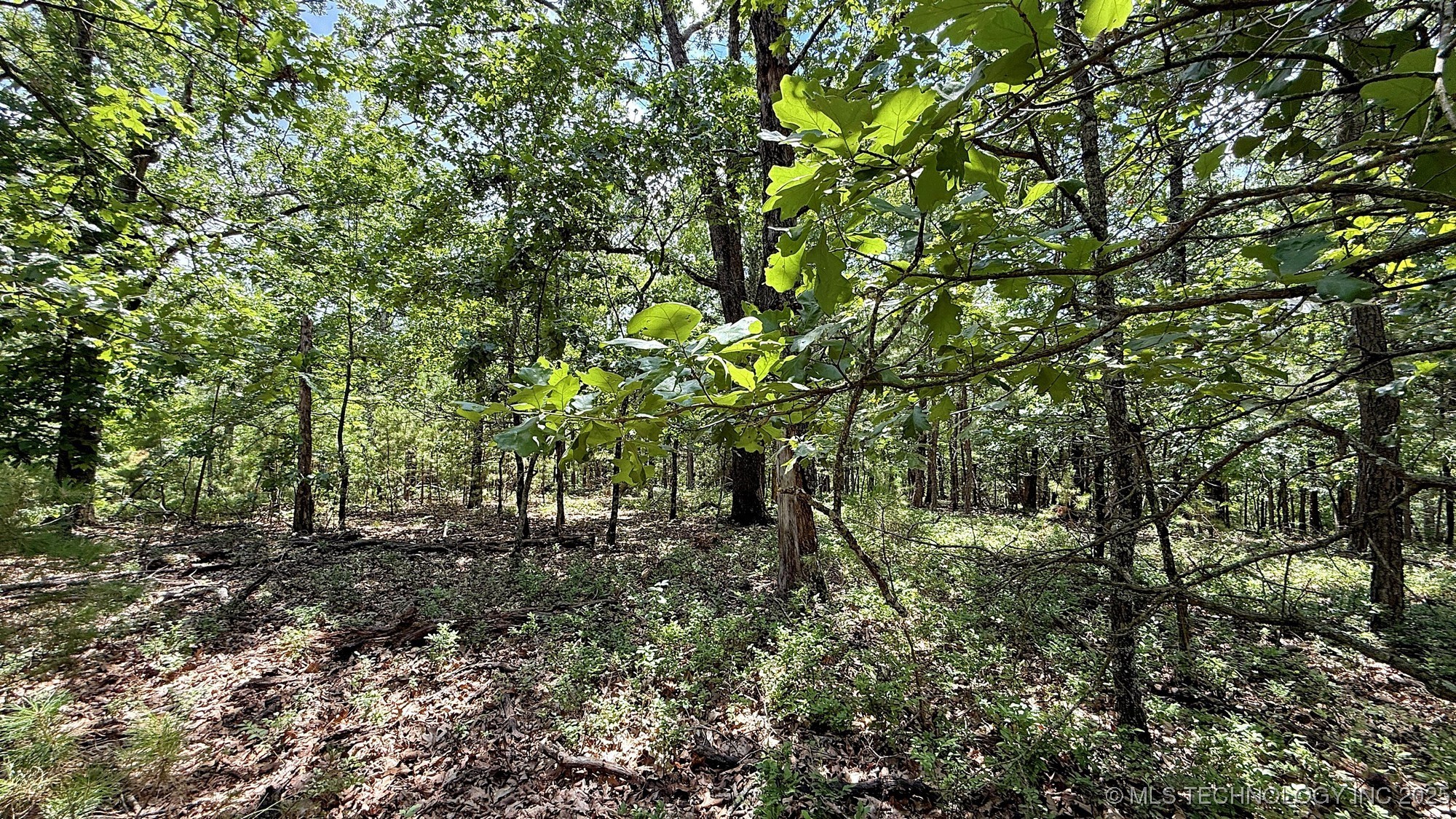 2210 Sunny Circle Property Photo 8